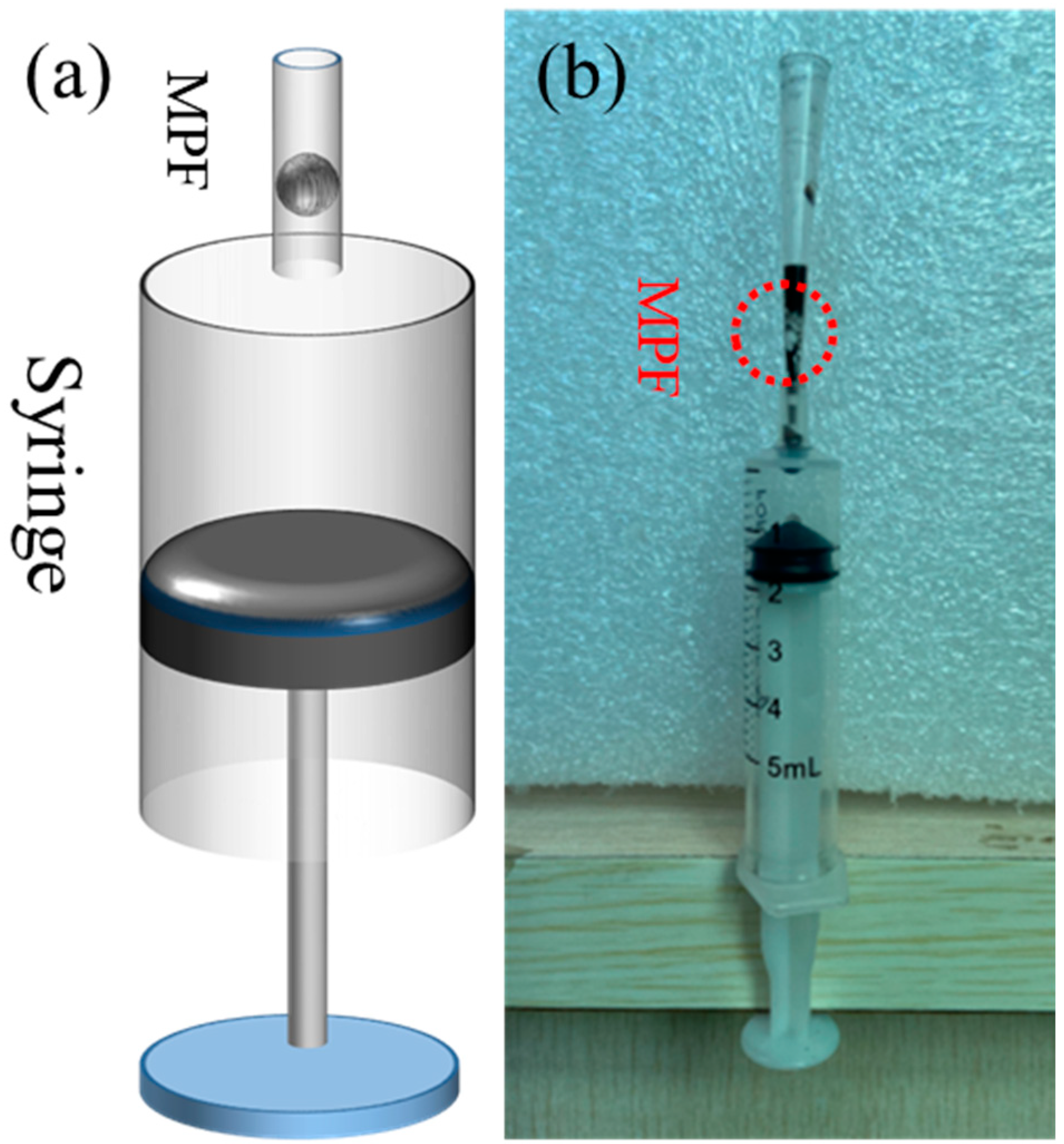 Coatings 14 00196 g002