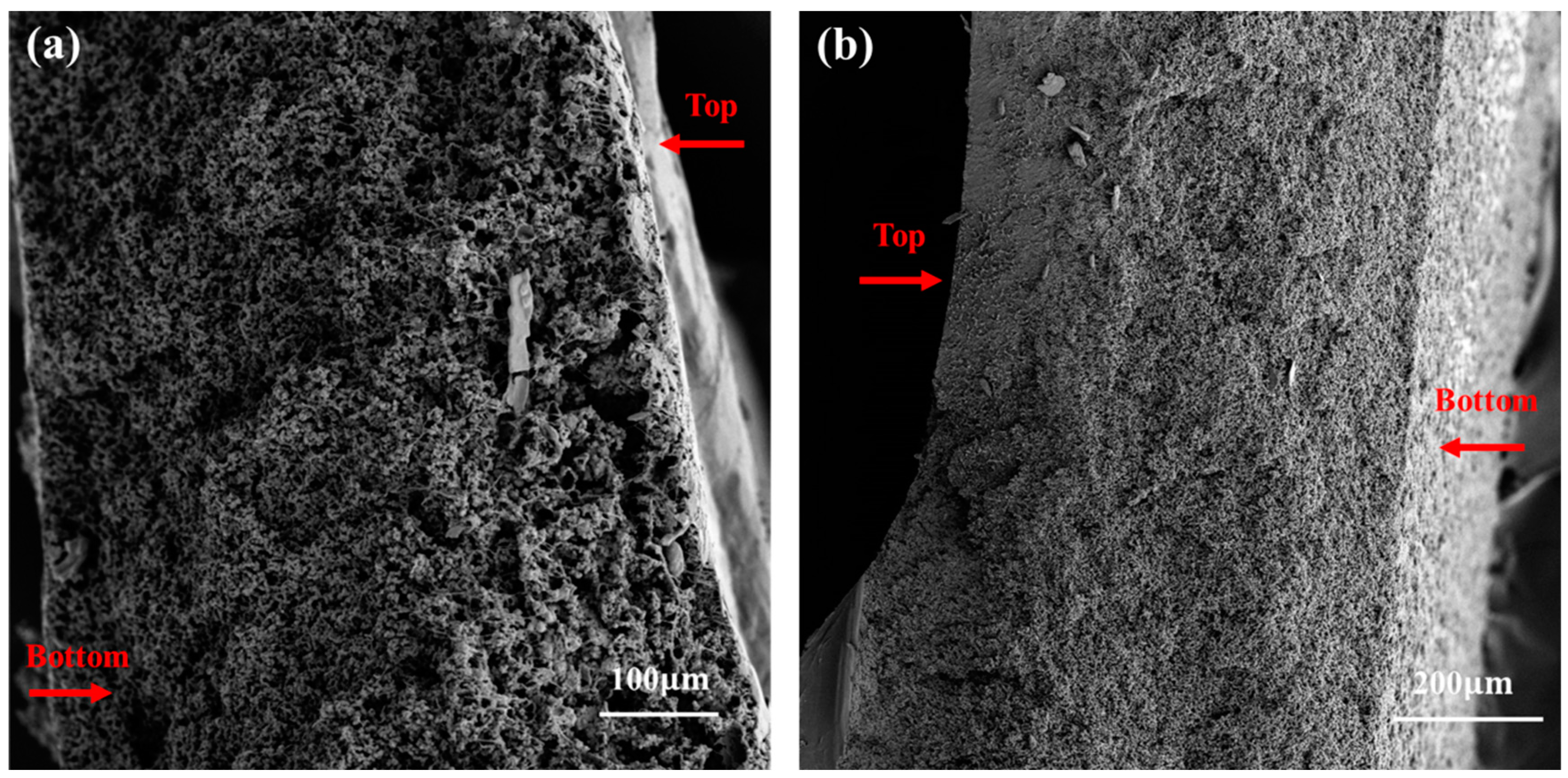 Coatings 14 00196 g006