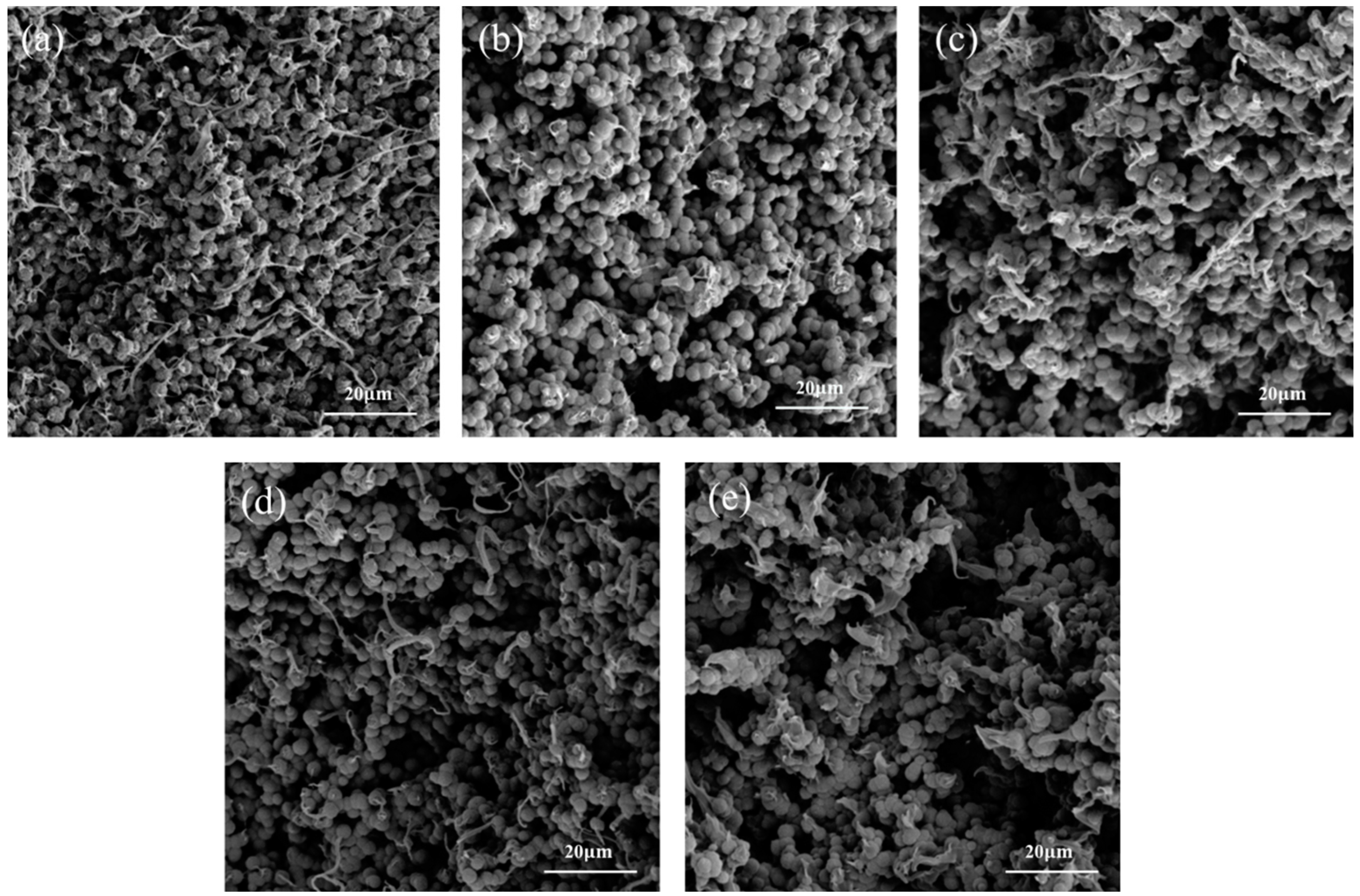 Coatings 14 00196 g007