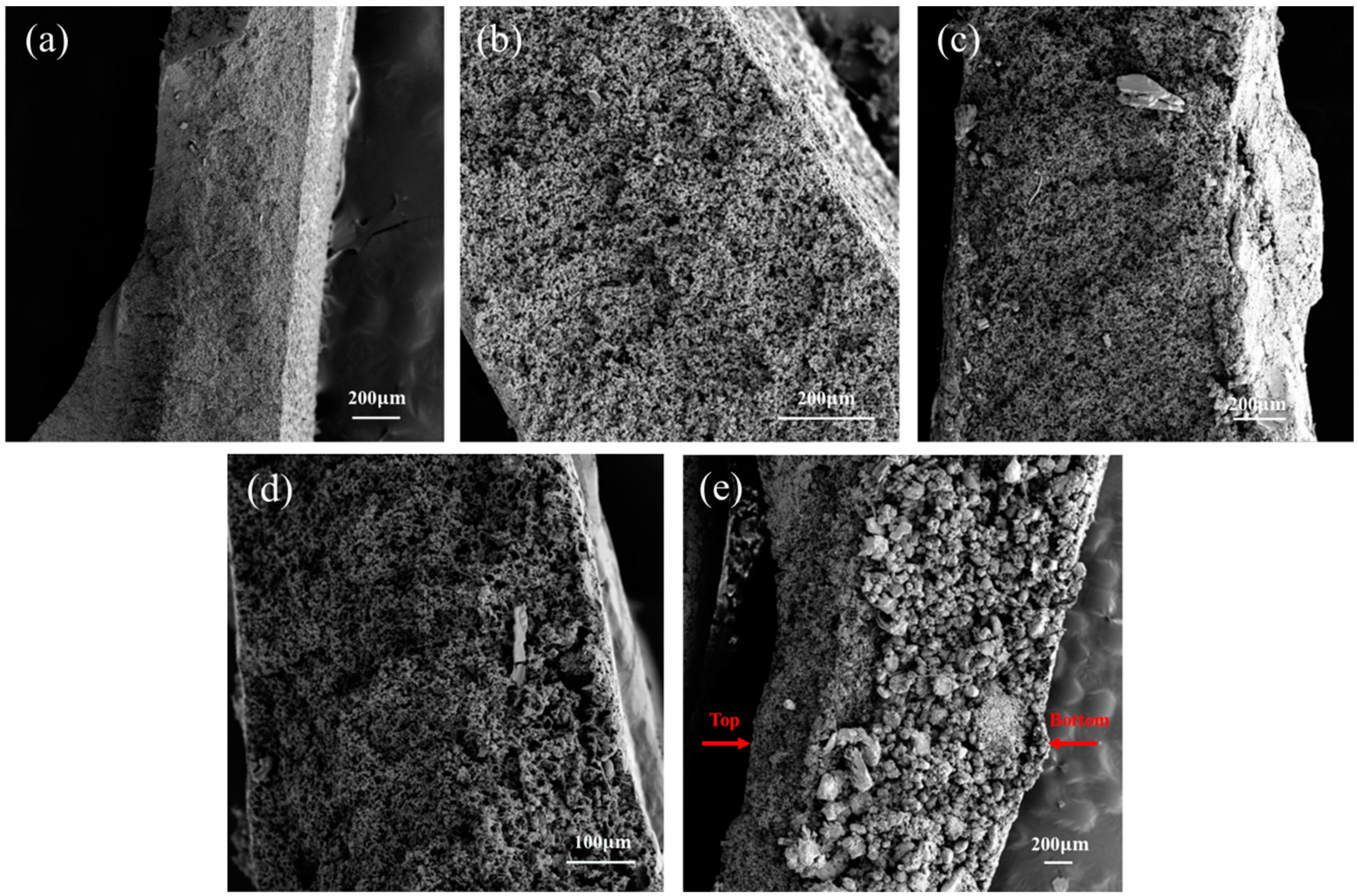 Coatings 14 00196 g008