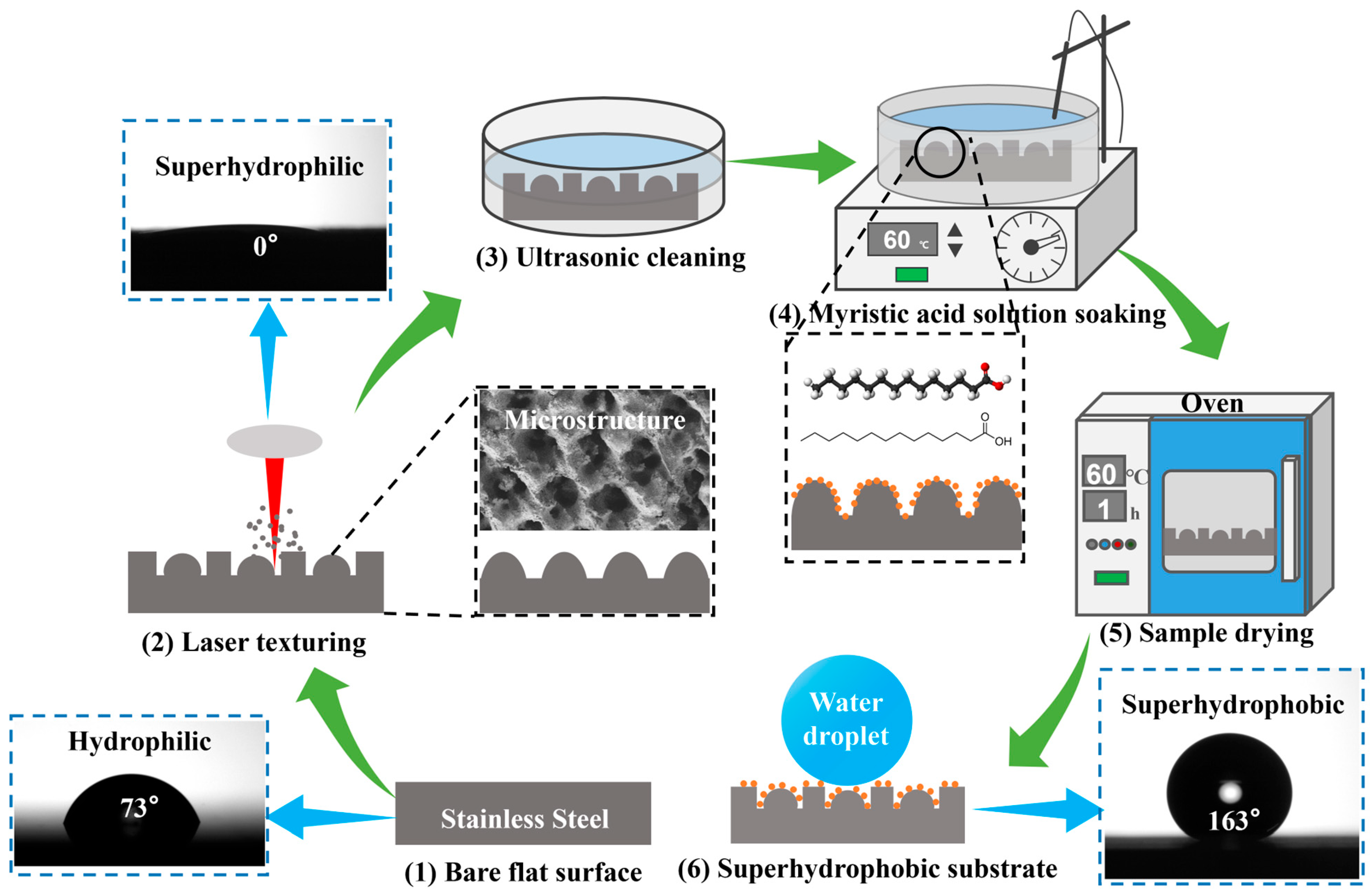Coatings 14 00198 g001