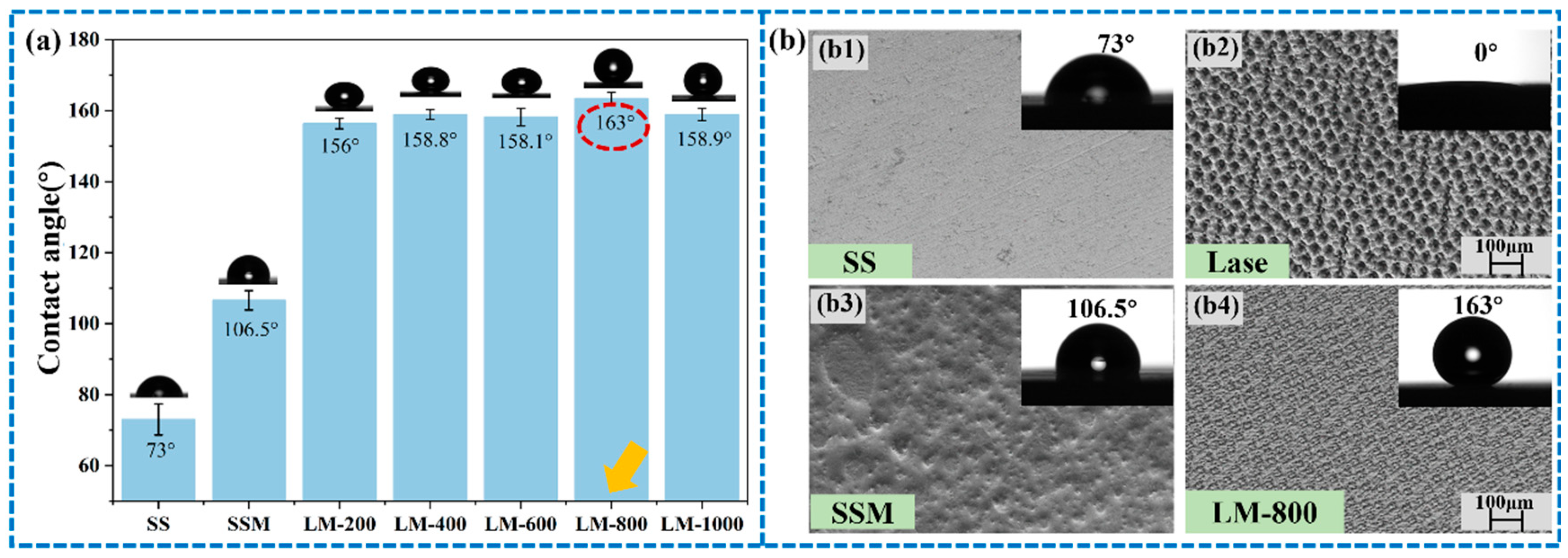 Coatings 14 00198 g005