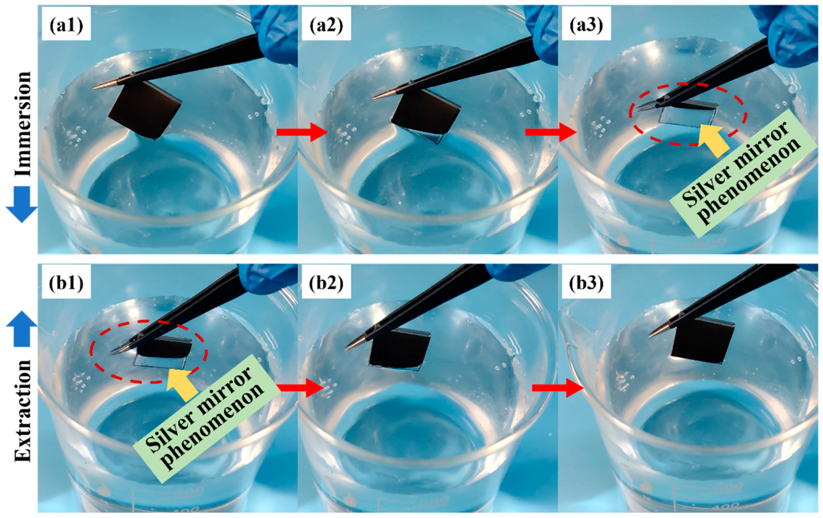 Coatings 14 00198 g006