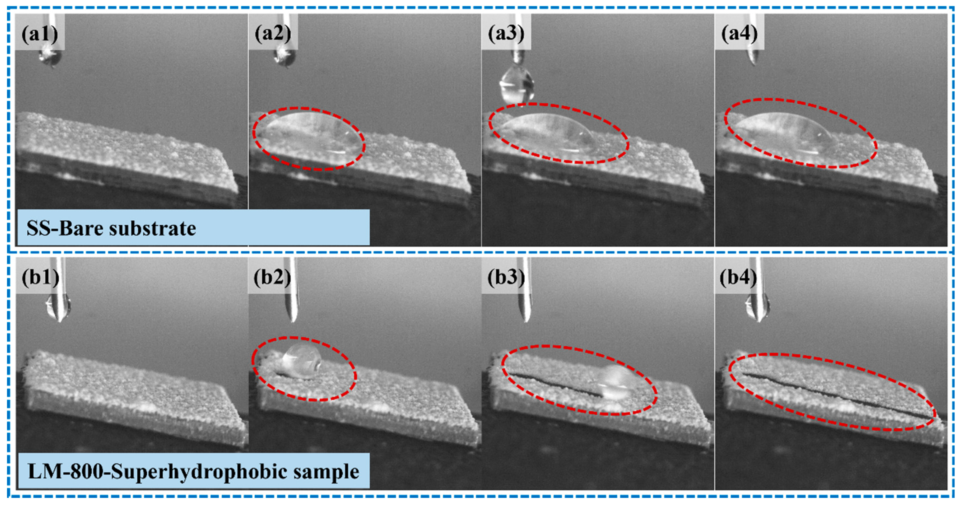 Coatings 14 00198 g008