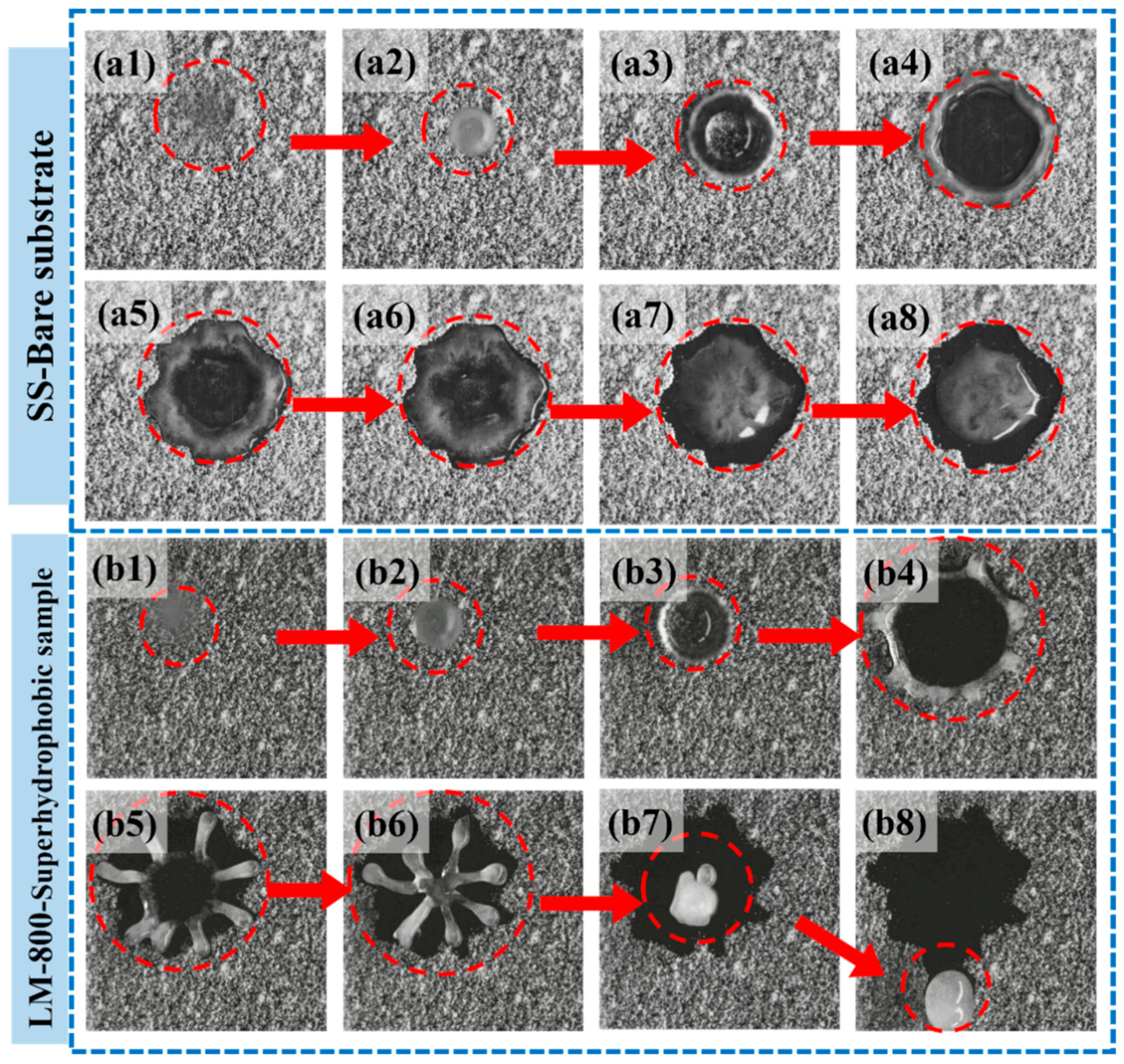 Coatings 14 00198 g009
