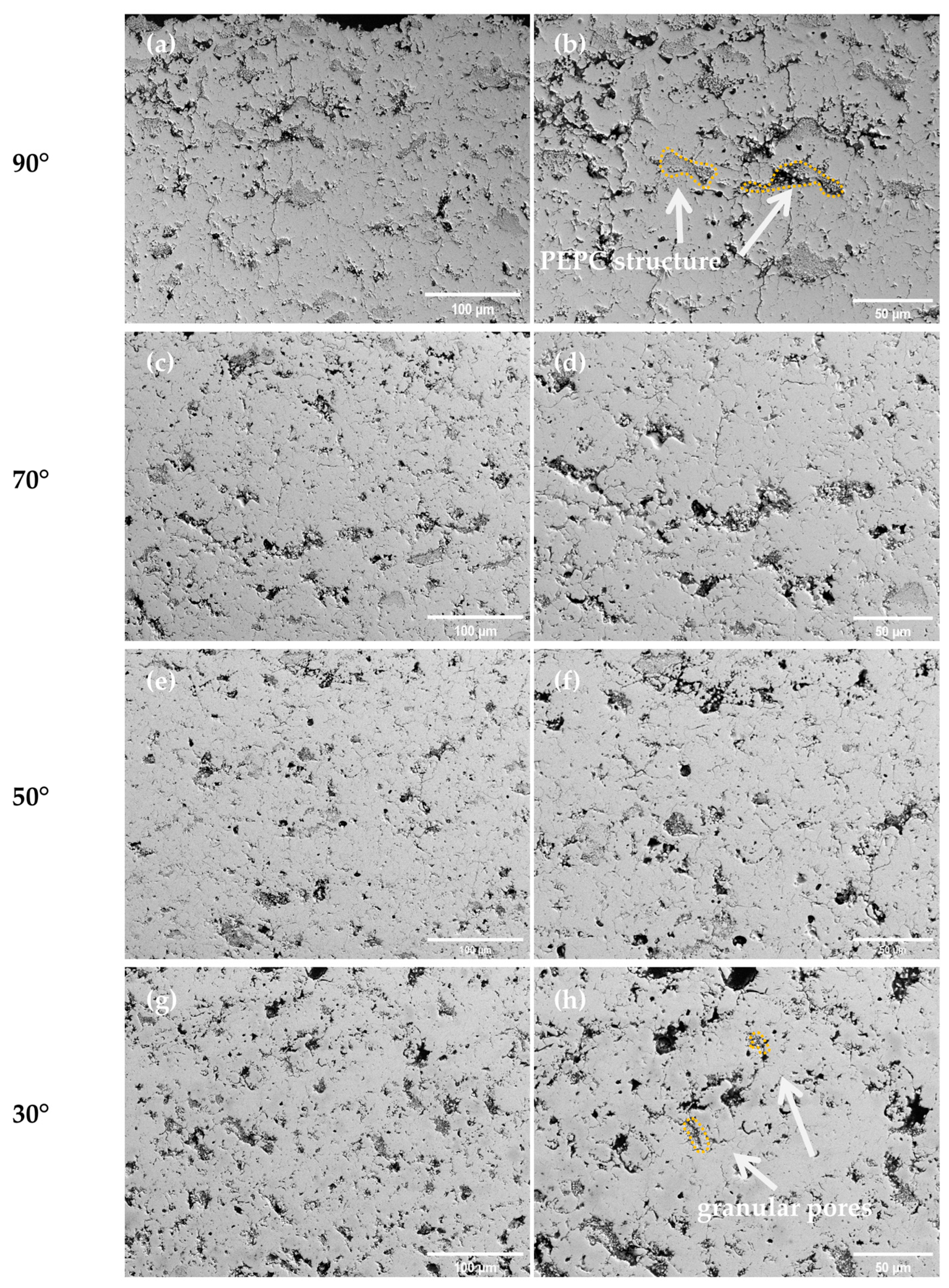 Coatings 14 00199 g004