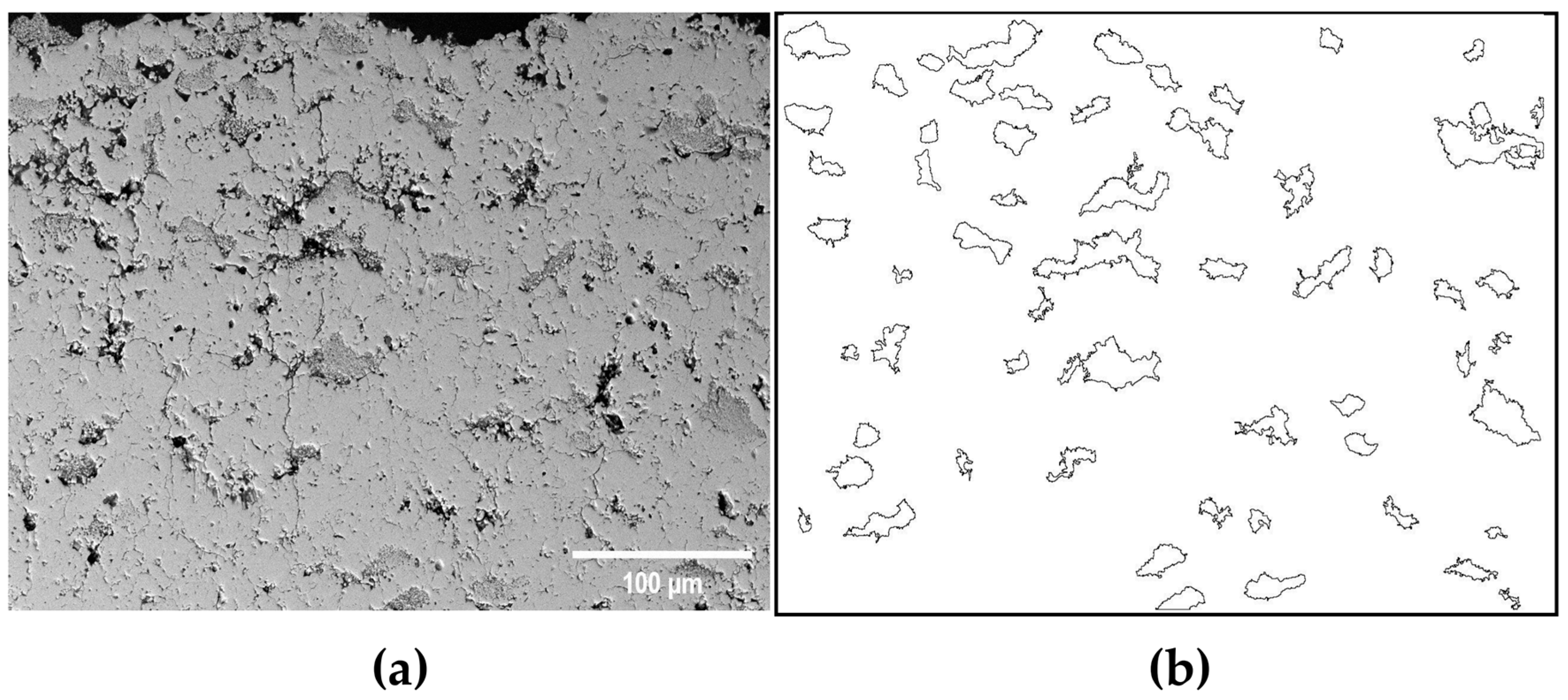 Coatings 14 00199 g006