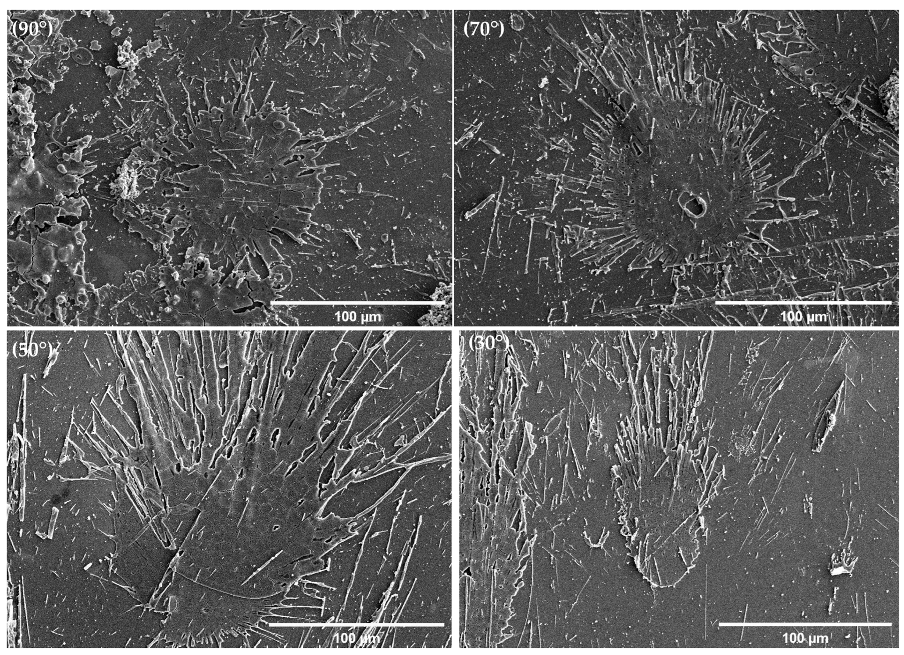 Coatings 14 00199 g010