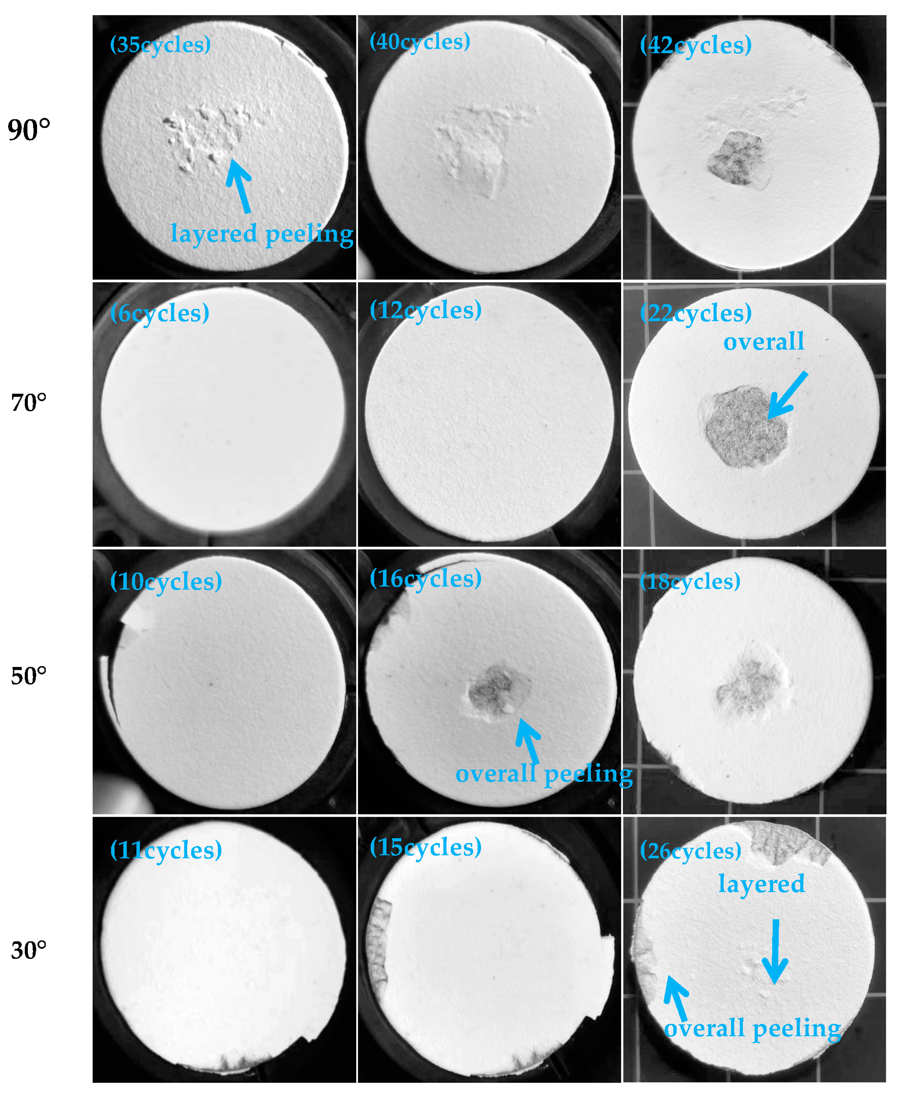 Coatings 14 00199 g014