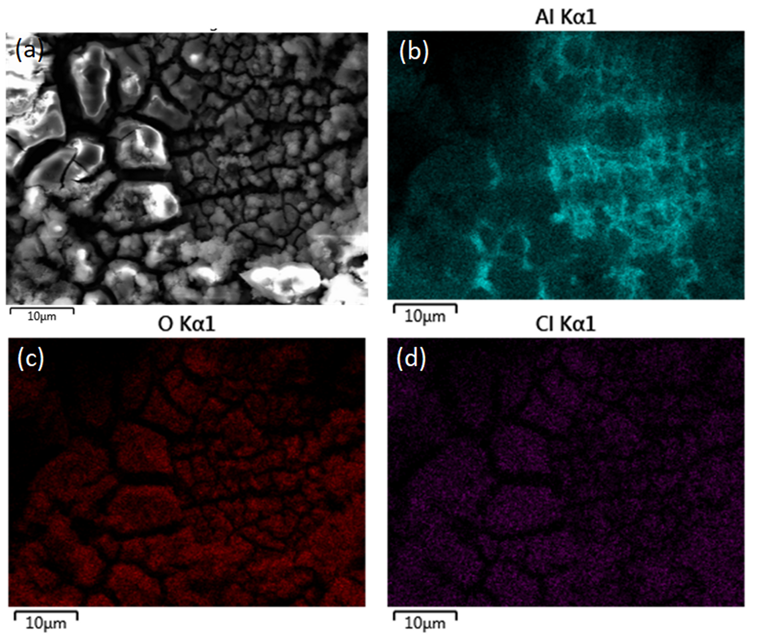 Coatings 14 00201 g010