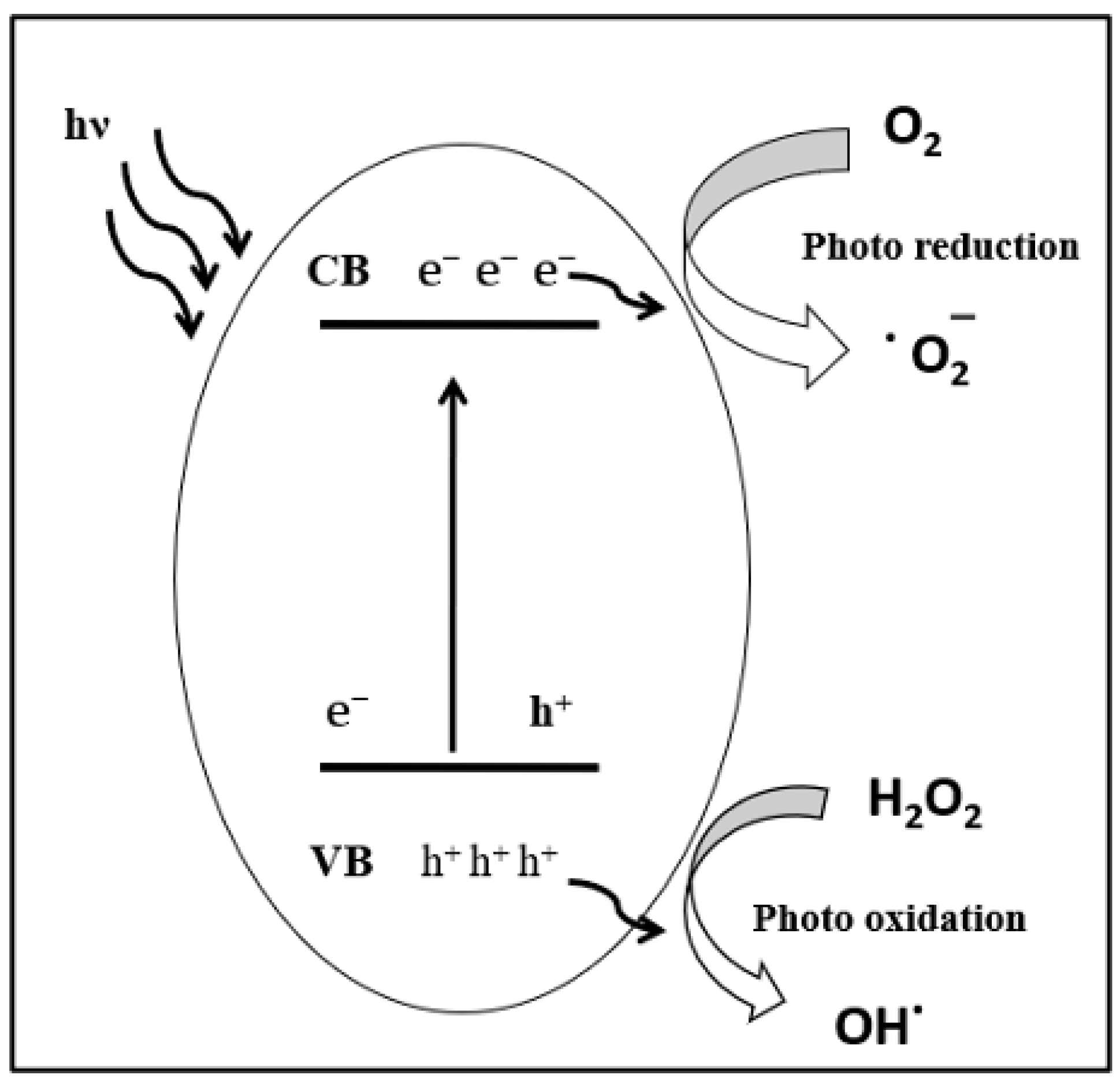 Coatings 14 00203 g002 Coatings 14 00203 g002