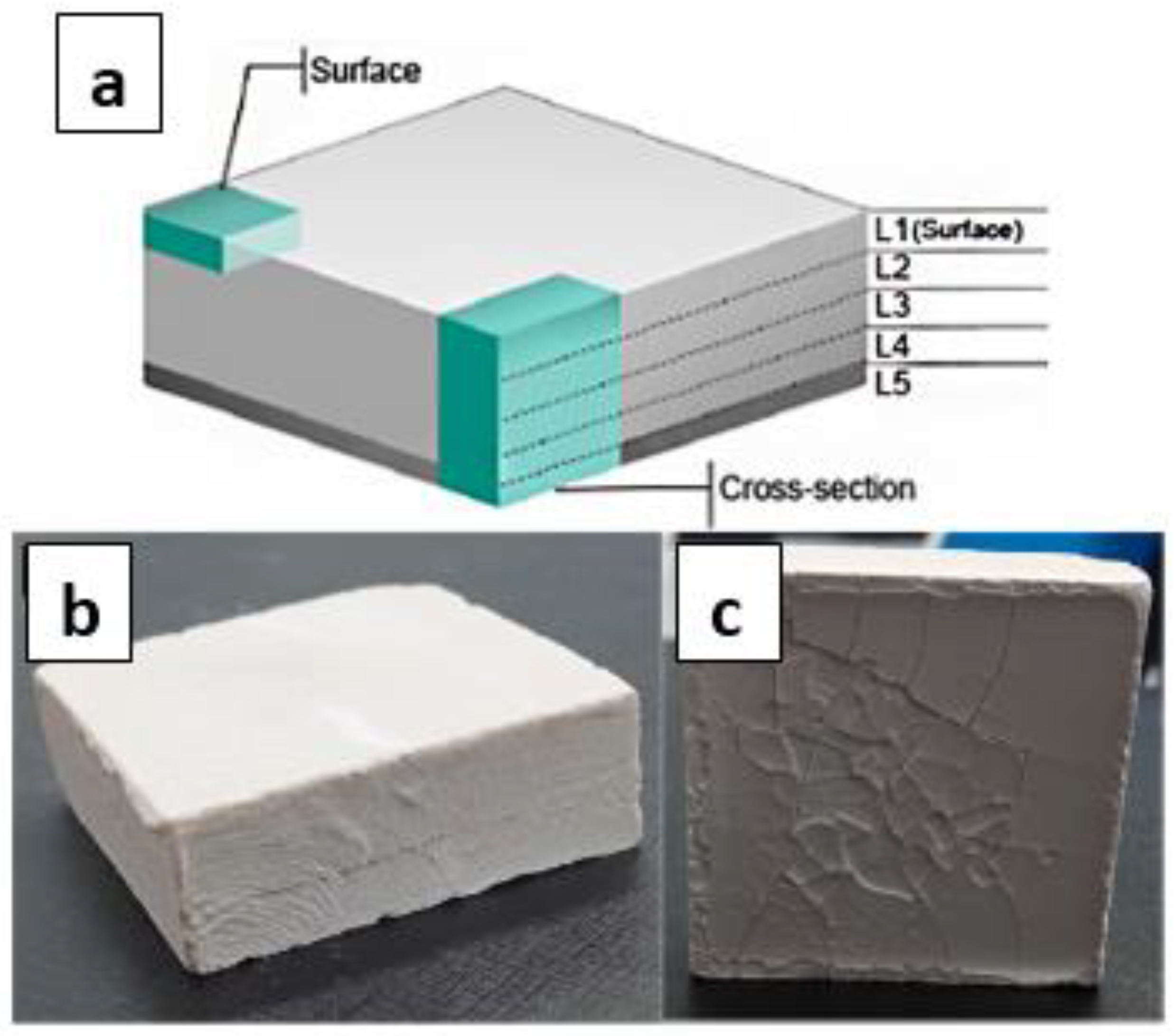 Coatings 14 00203 g007 Coatings 14 00203 g007