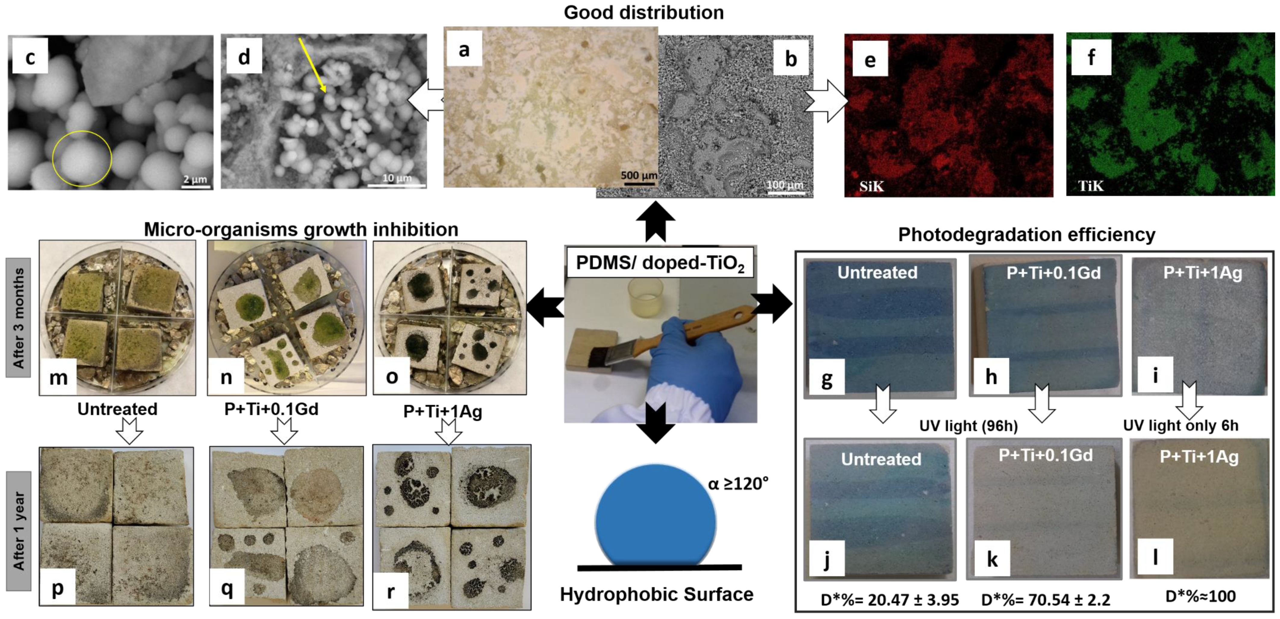 Coatings 14 00203 g008 Coatings 14 00203 g008