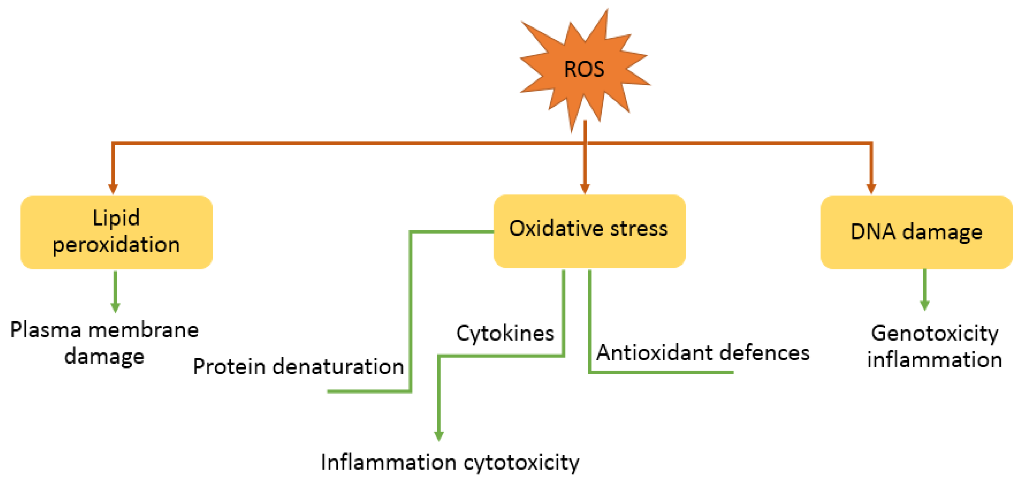 Coatings 14 00203 g014 Coatings 14 00203 g014