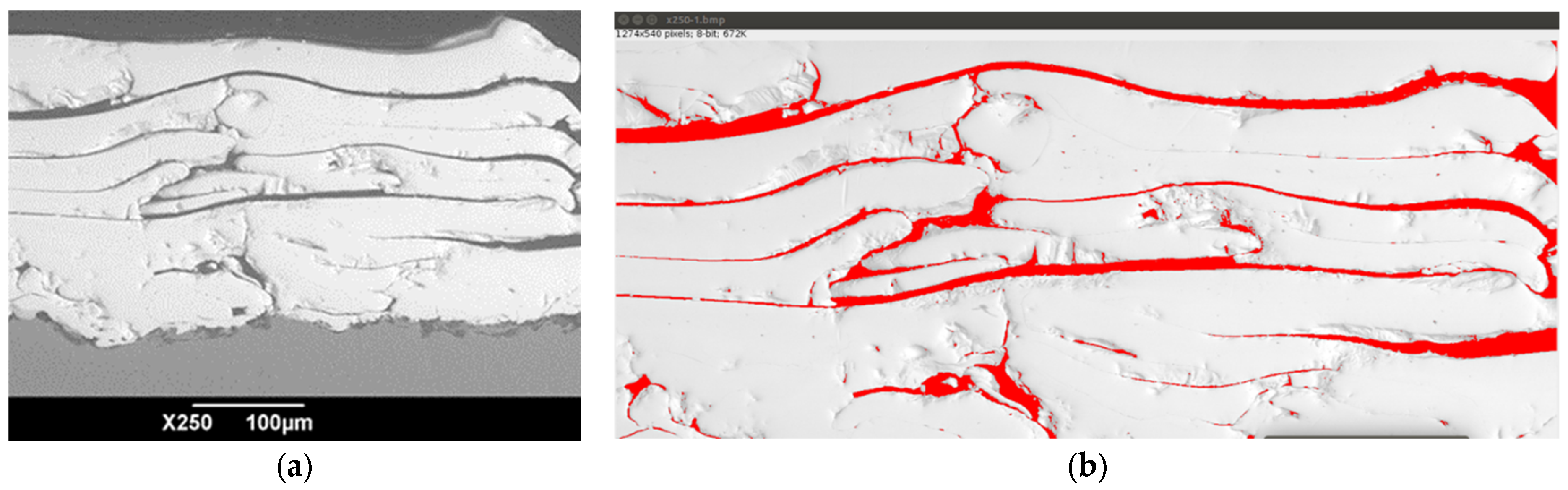 Coatings 14 00206 g001