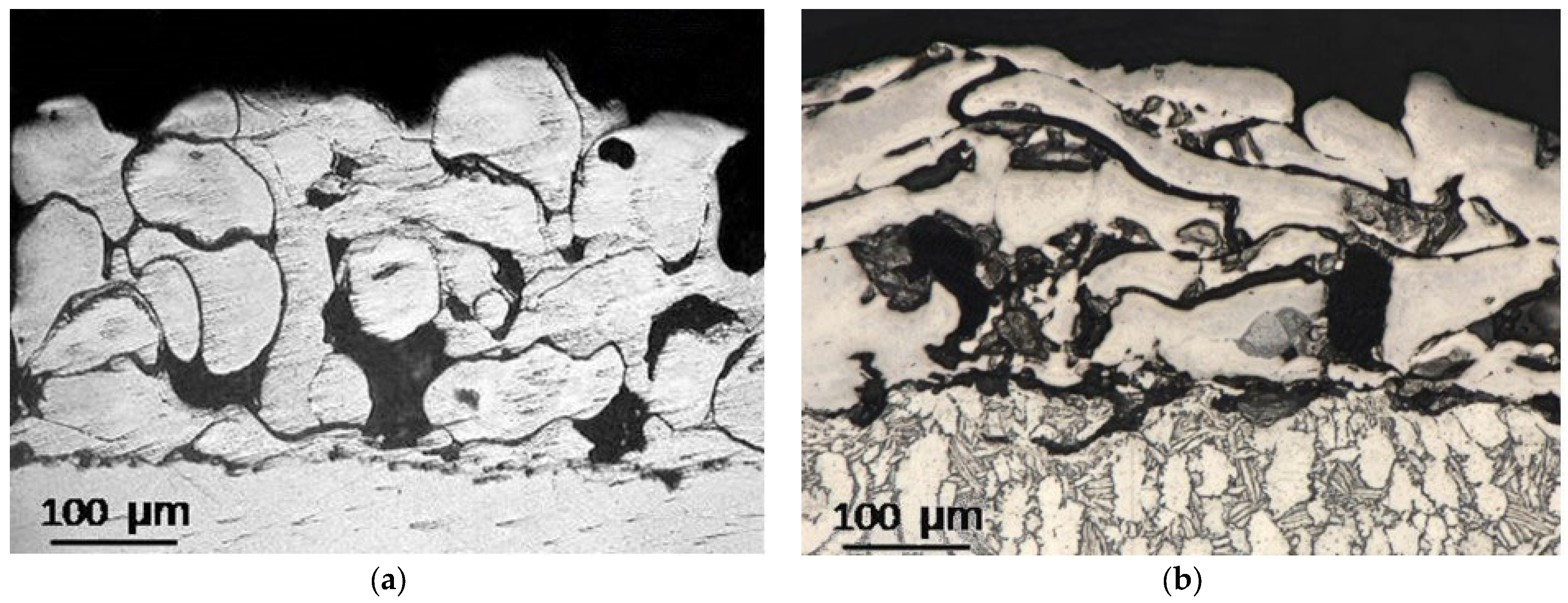 Coatings 14 00206 g002