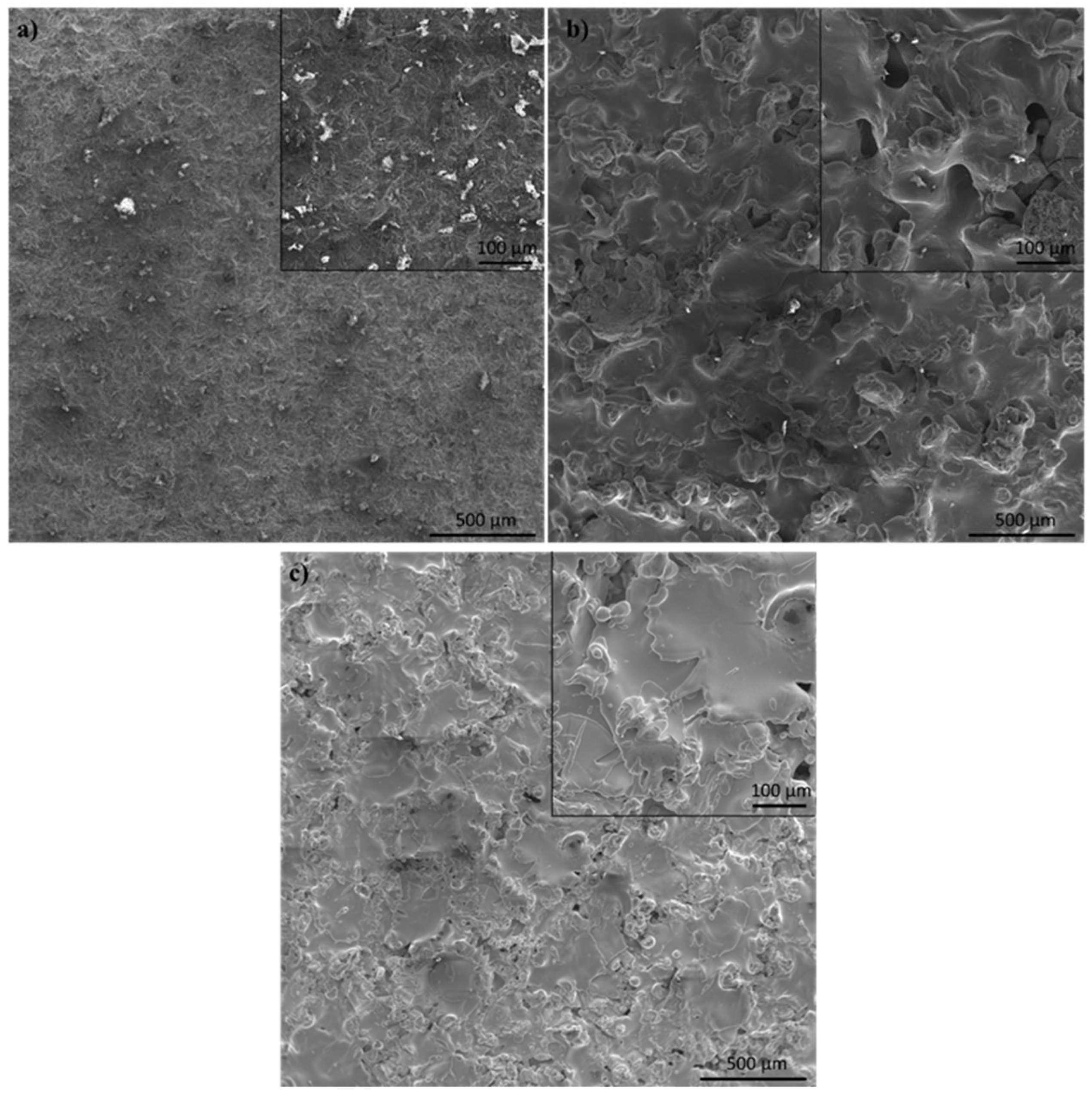 Coatings 14 00206 g005