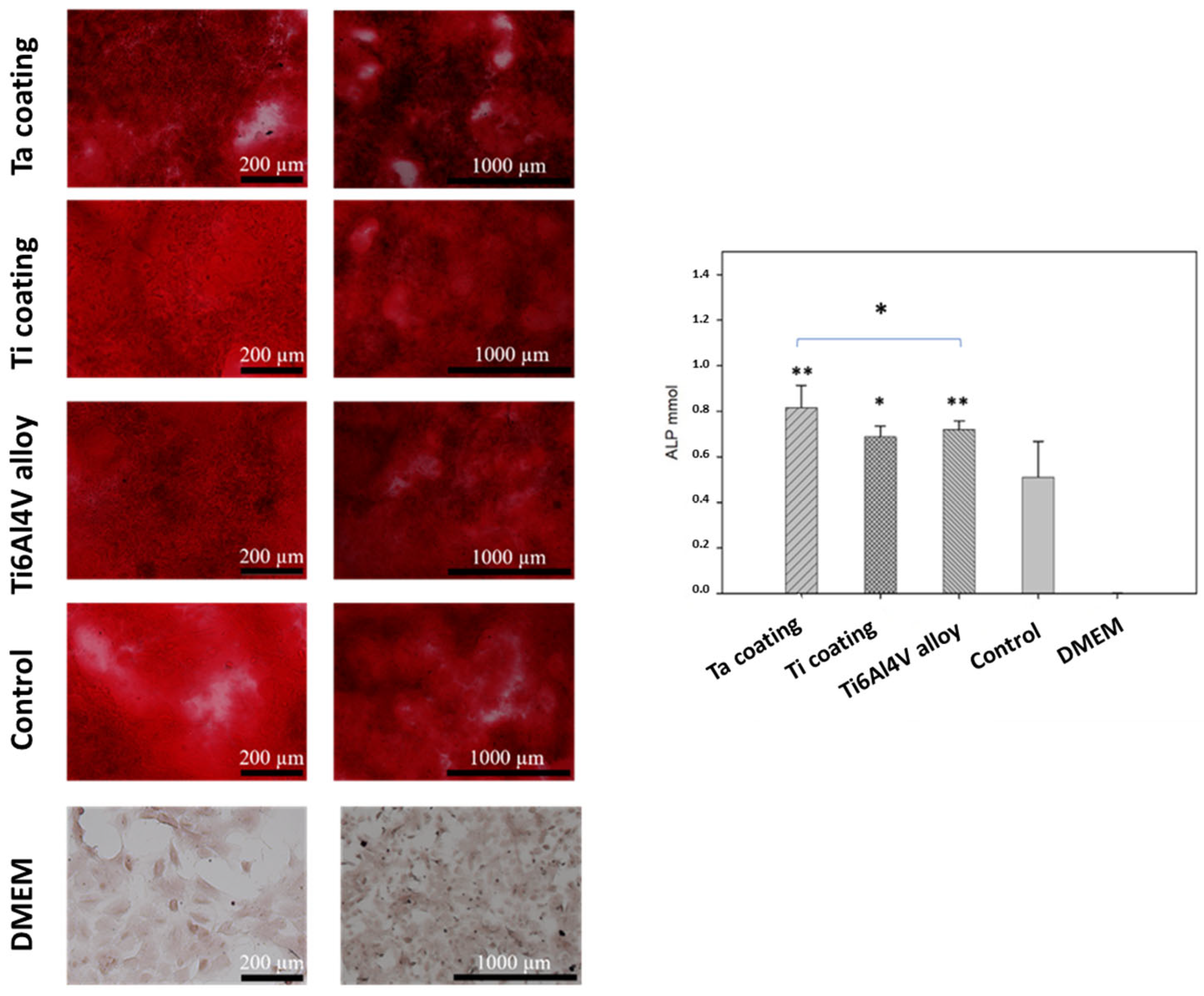 Coatings 14 00206 g010