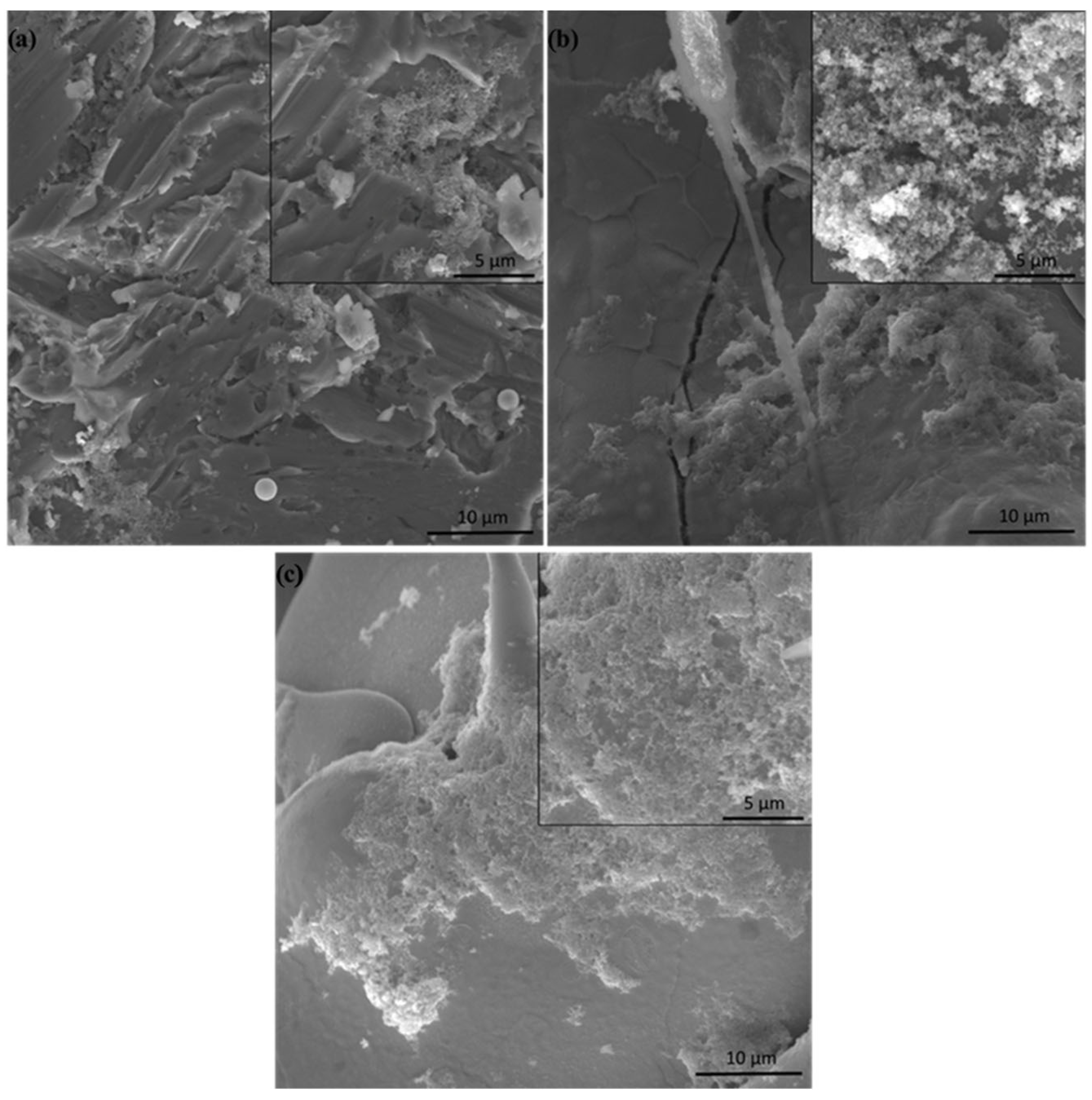 Coatings 14 00206 g012