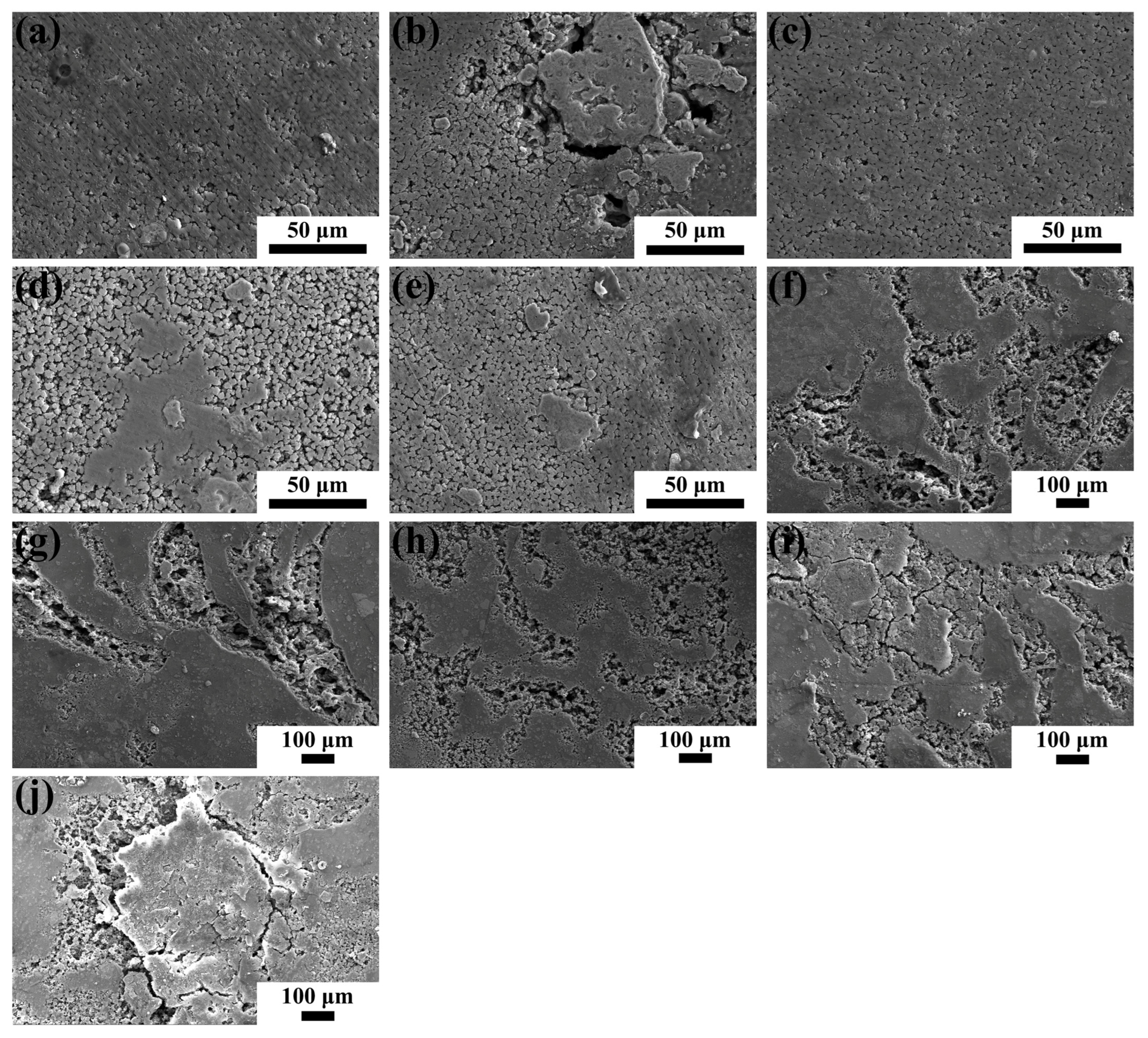 Coatings 14 00211 g013