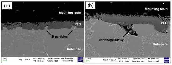 Plasma Electrolytic Oxidation (PEO) as a Promising