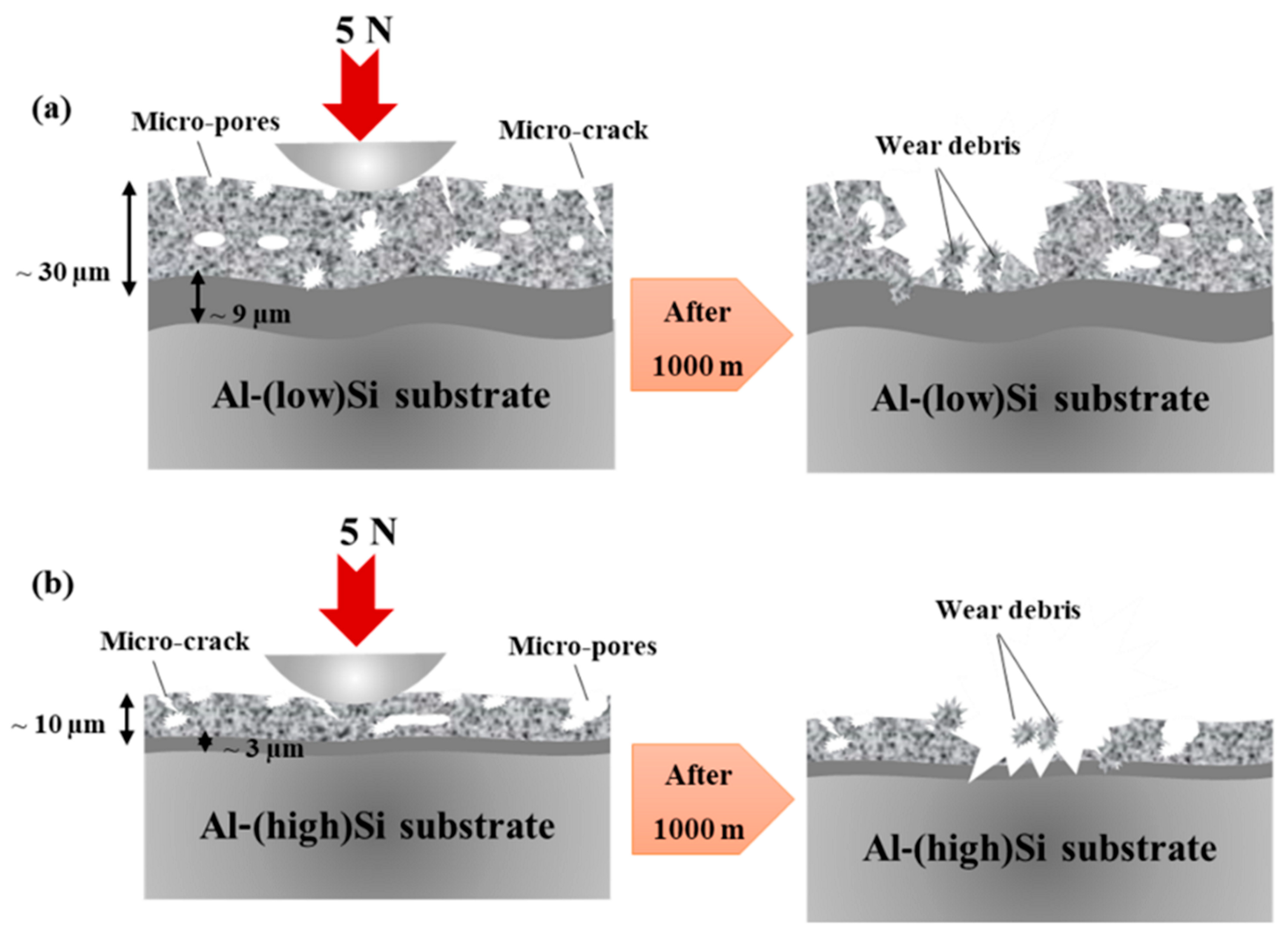 Coatings 14 00217 g010 Coatings 14 00217 g010