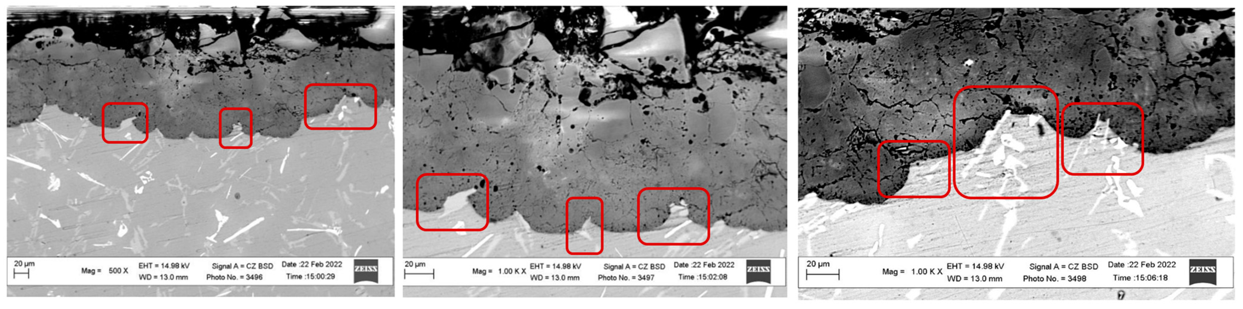 Coatings 14 00217 g011 Coatings 14 00217 g011