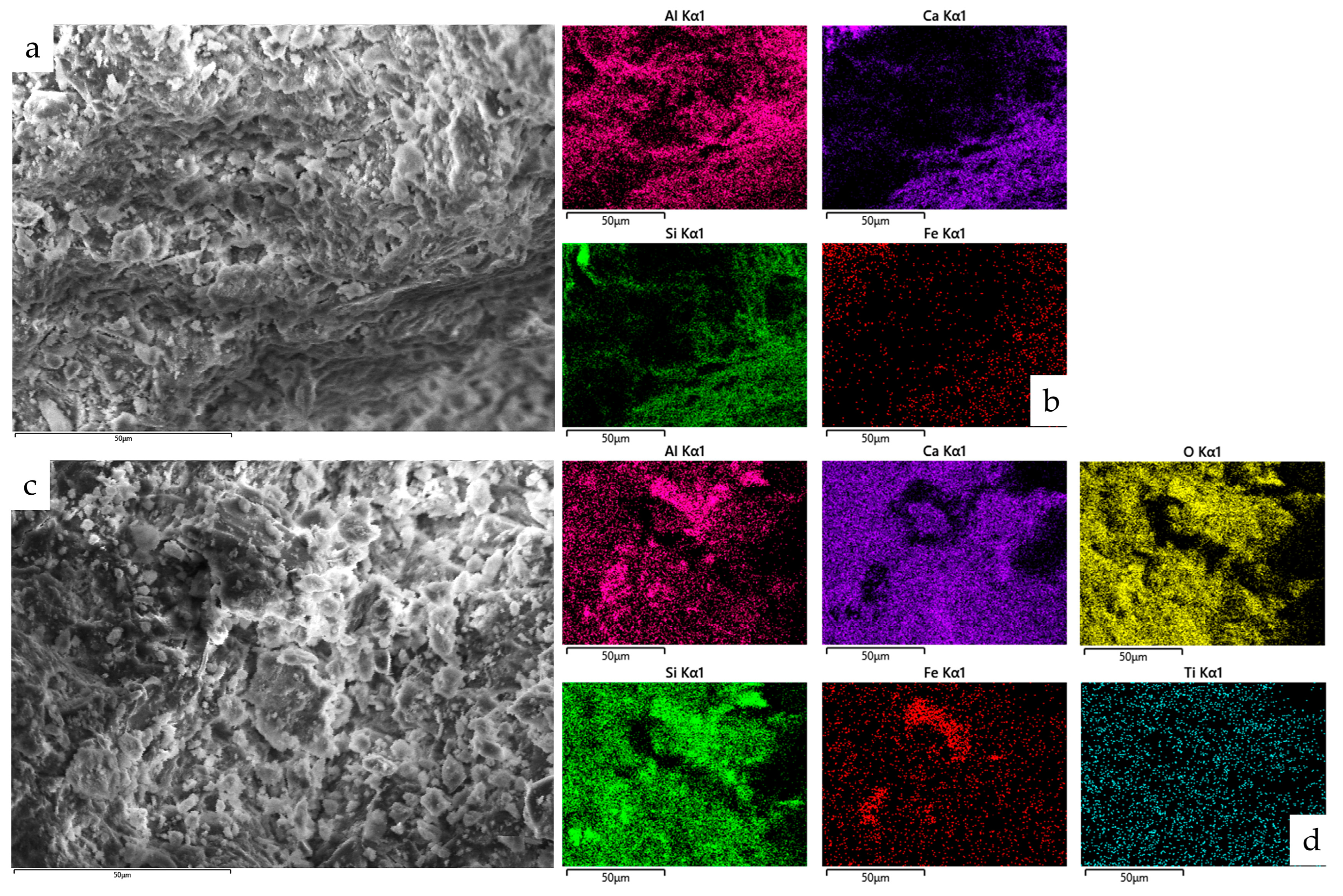 Coatings 14 00218 g009 Coatings 14 00218 g009