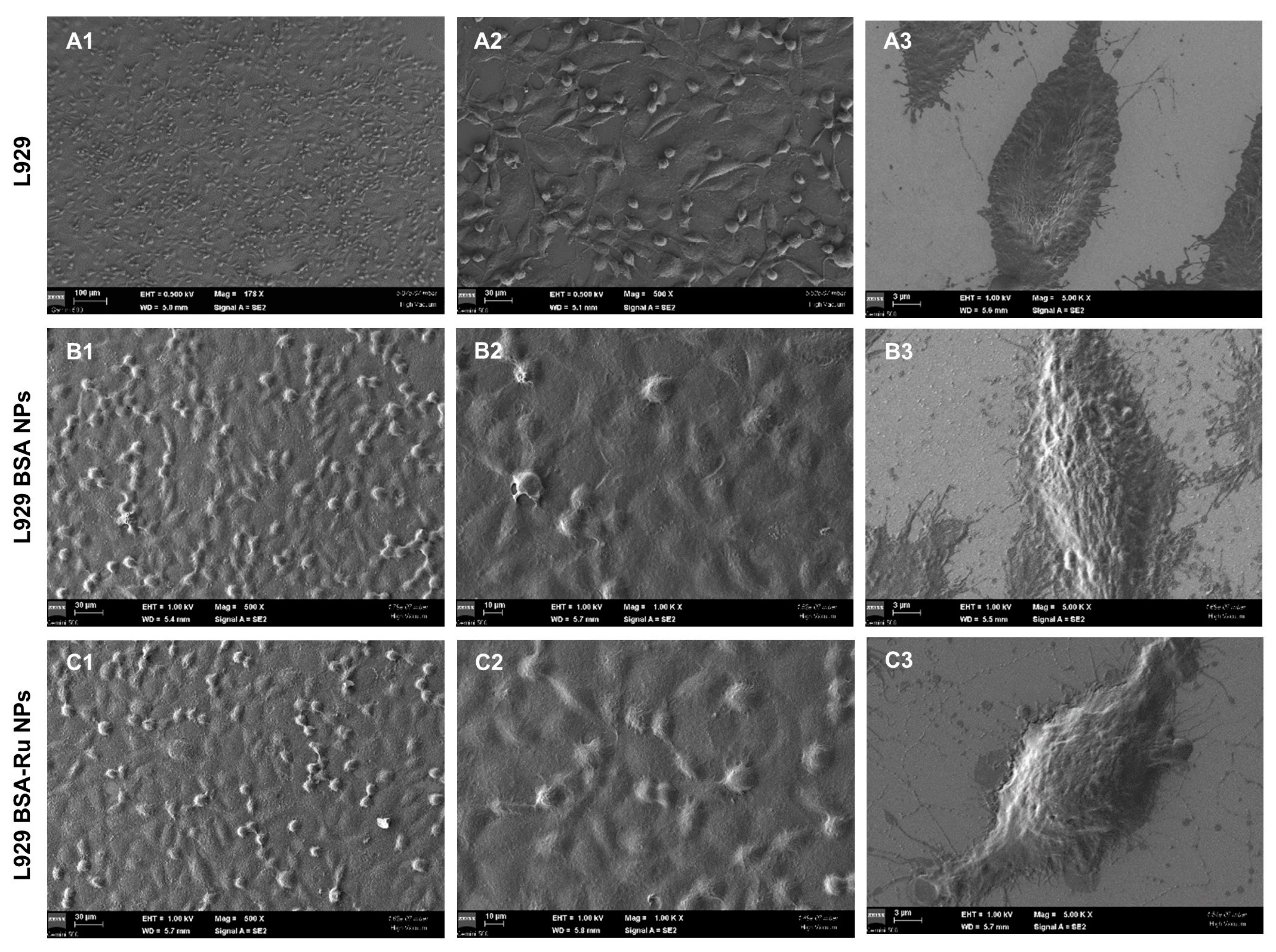 Coatings 14 00220 g006 Coatings 14 00220 g006