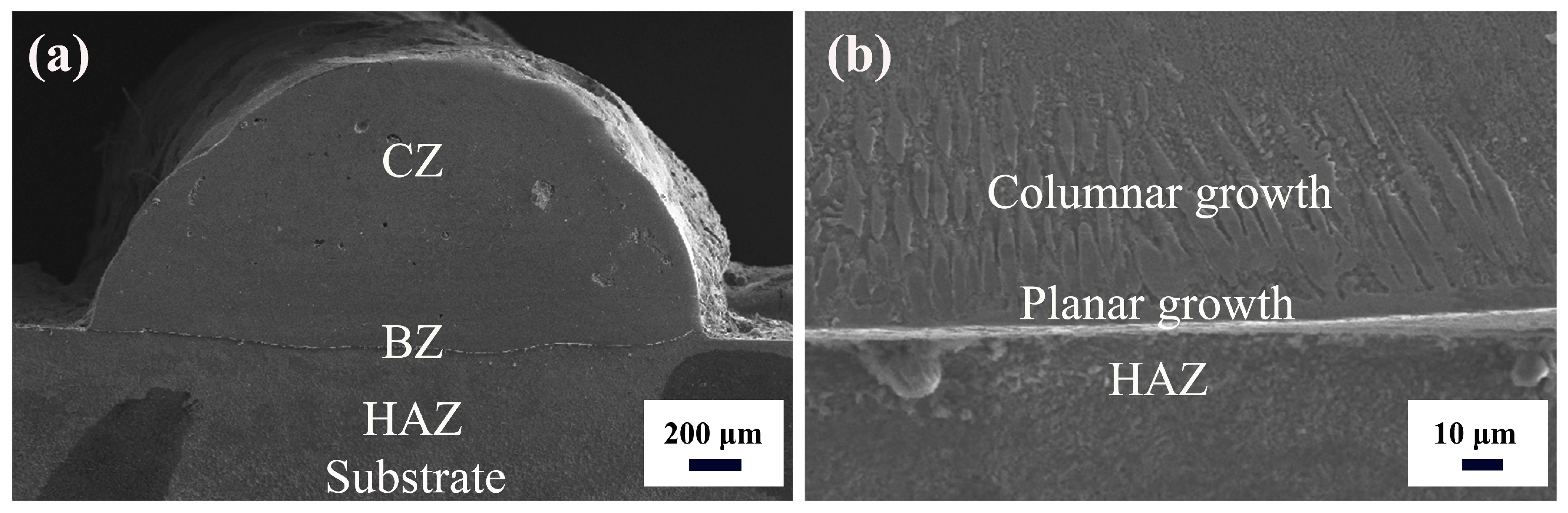 Coatings 14 00221 g002