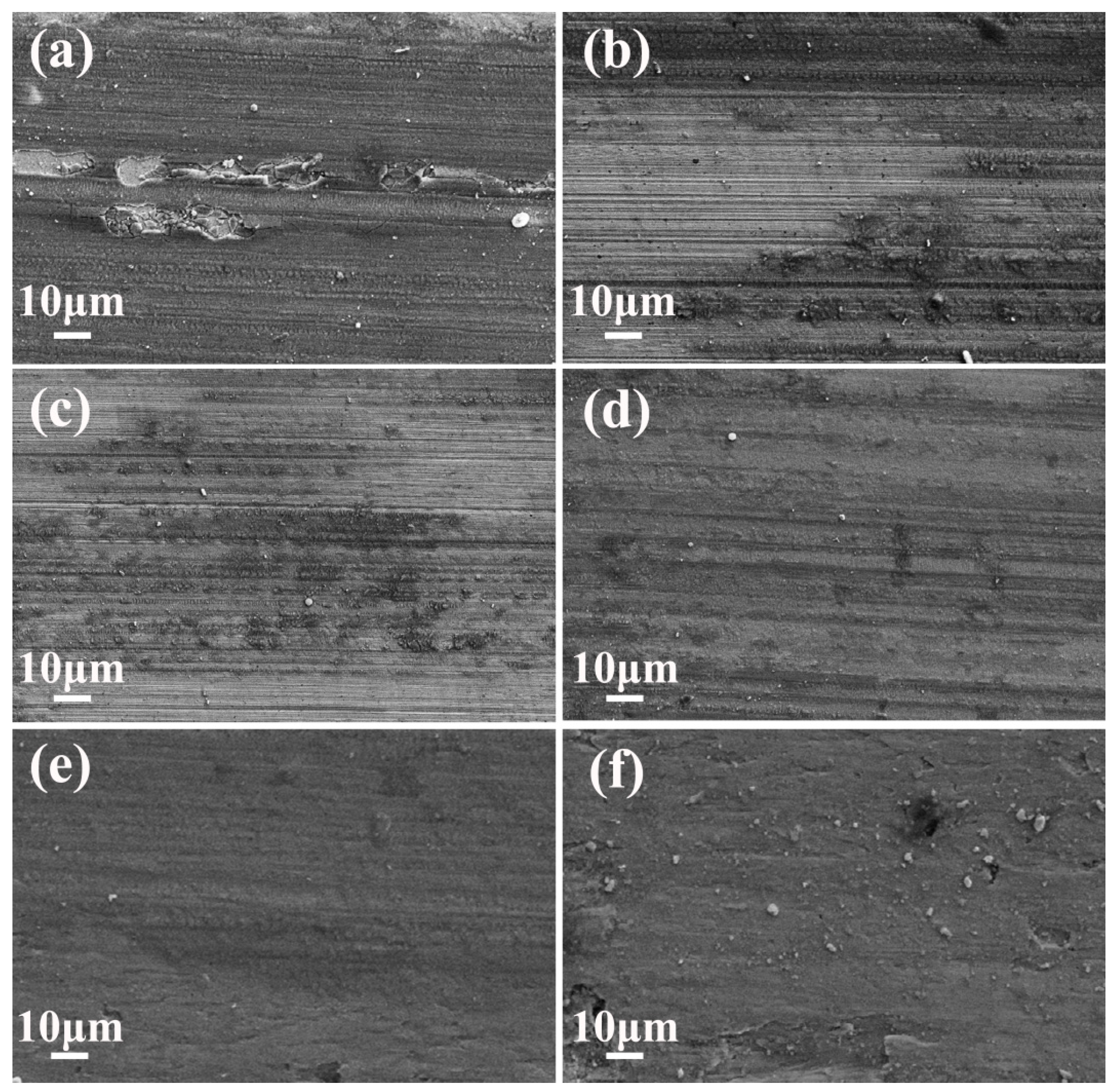 Coatings 14 00221 g006
