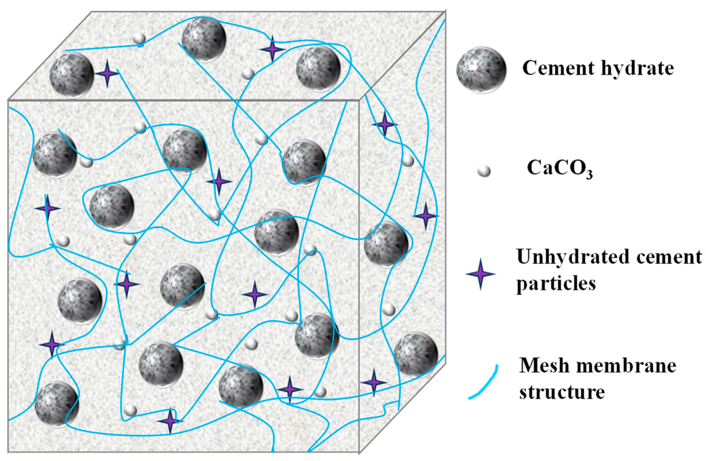 Coatings 14 00232 g010