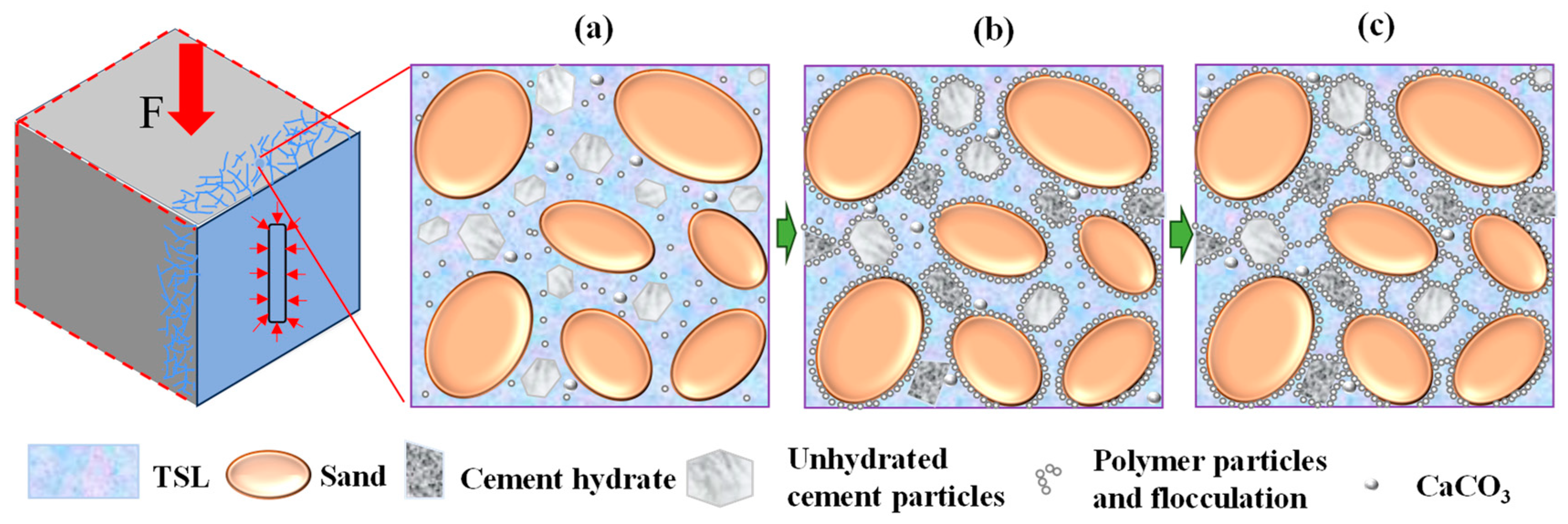 Coatings 14 00232 g016