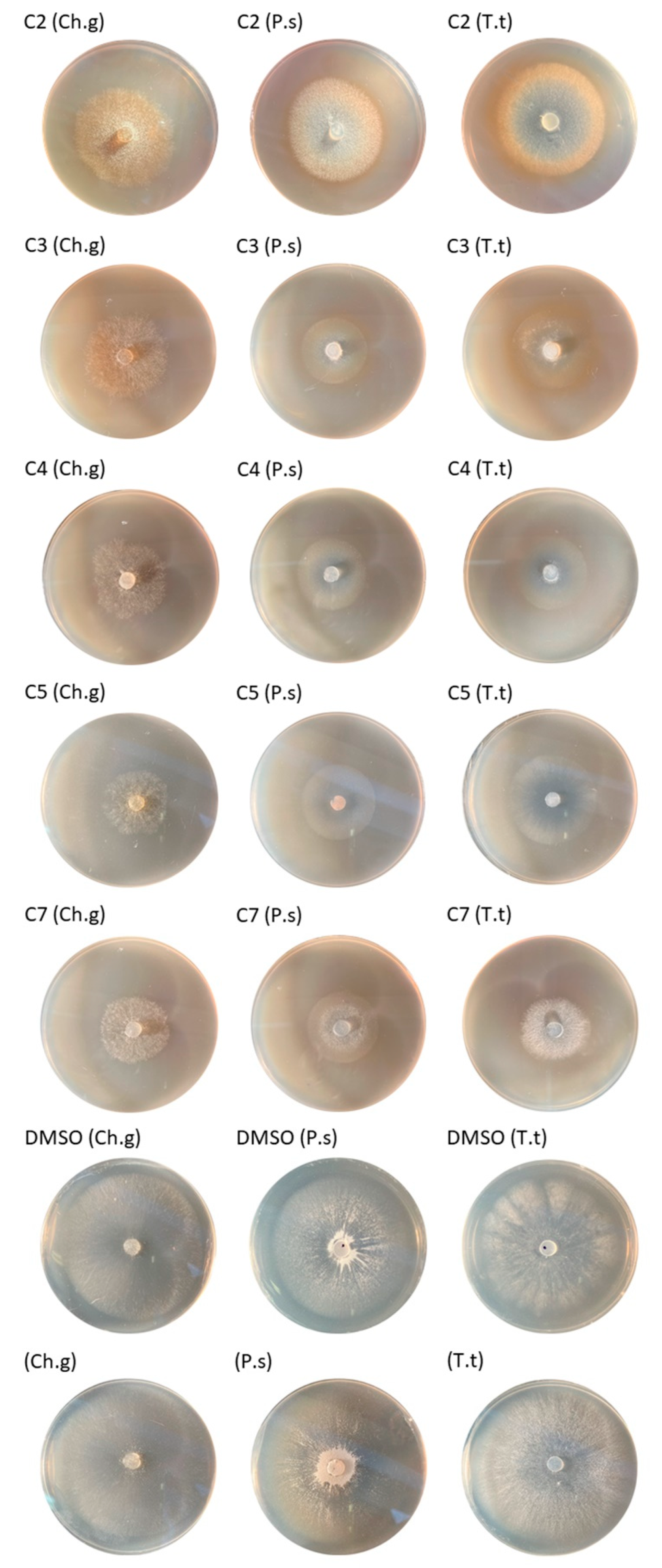Coatings 14 00237 g002 Coatings 14 00237 g002
