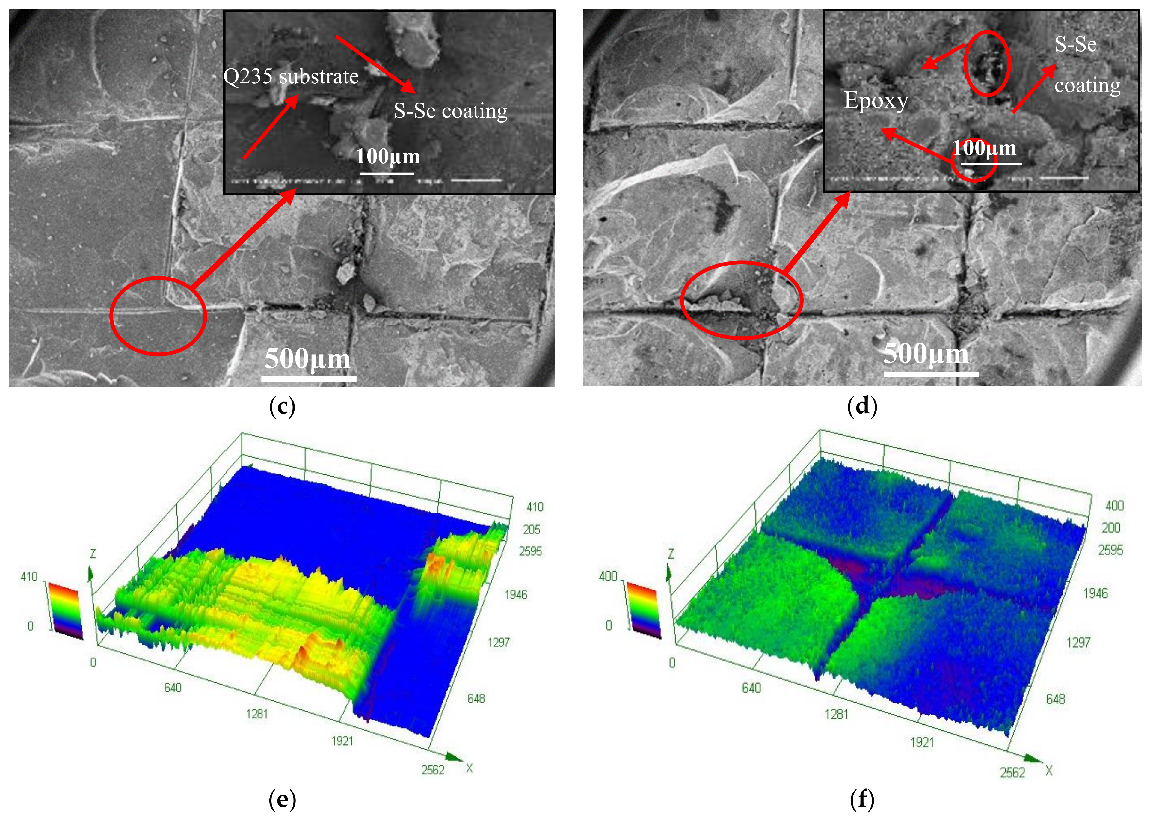 Coatings 14 00245 g006b
