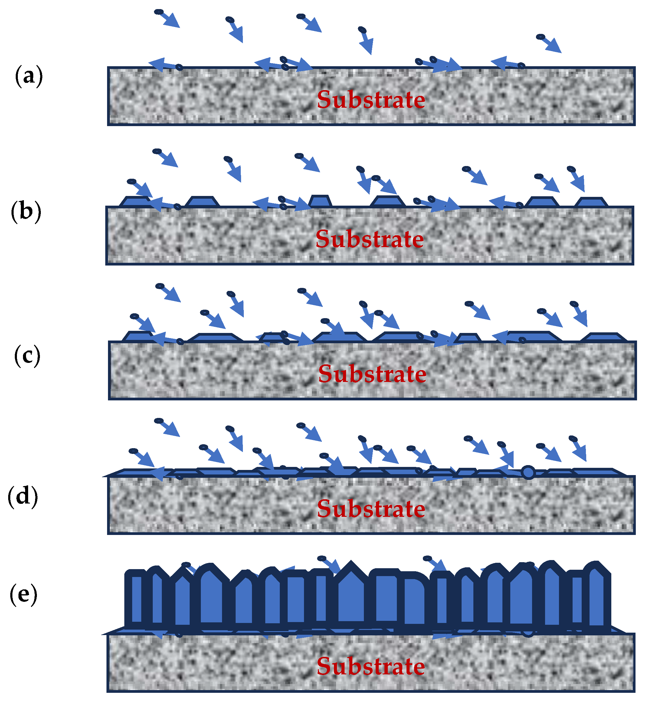 Coatings 14 00246 g006