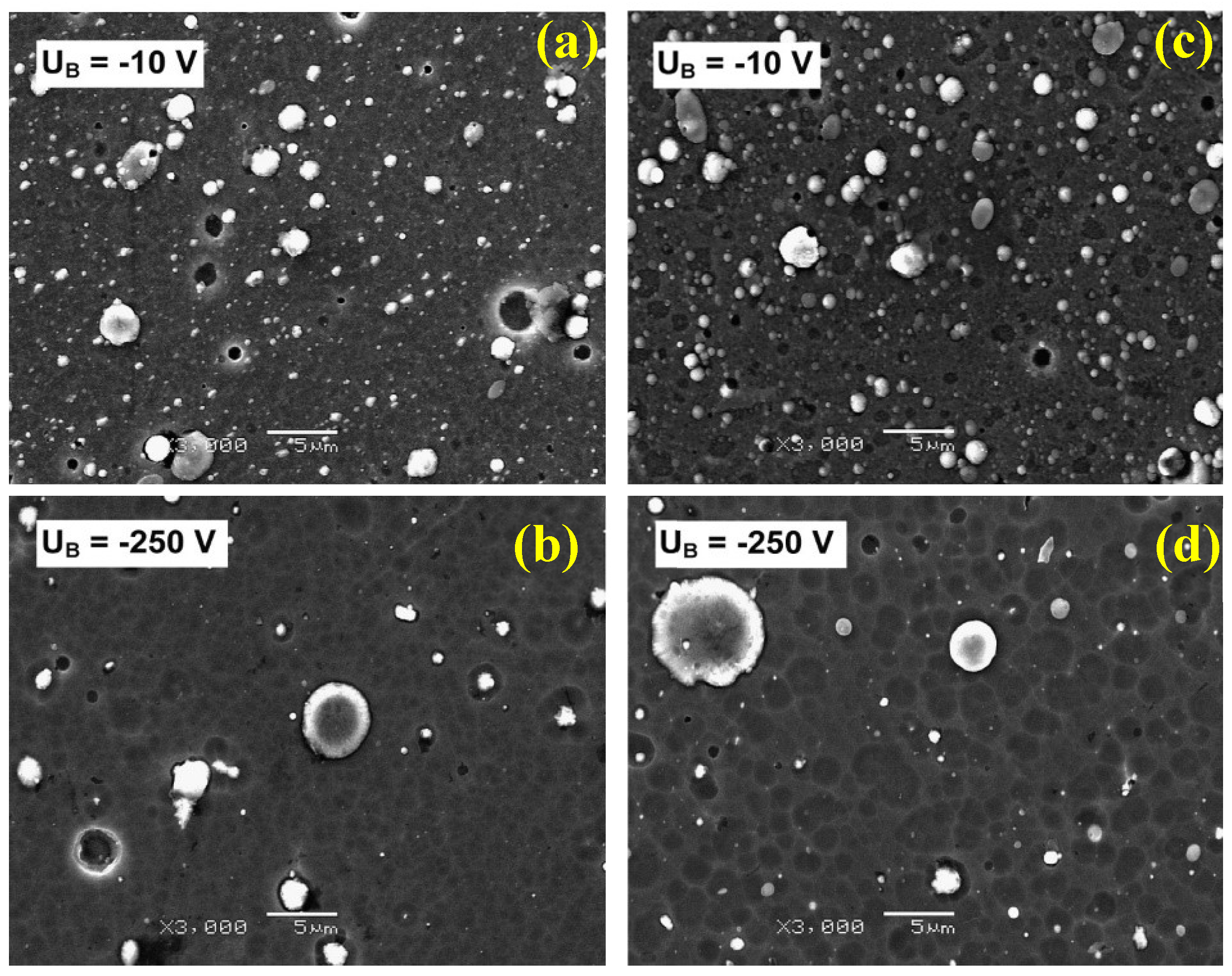 Coatings 14 00246 g011