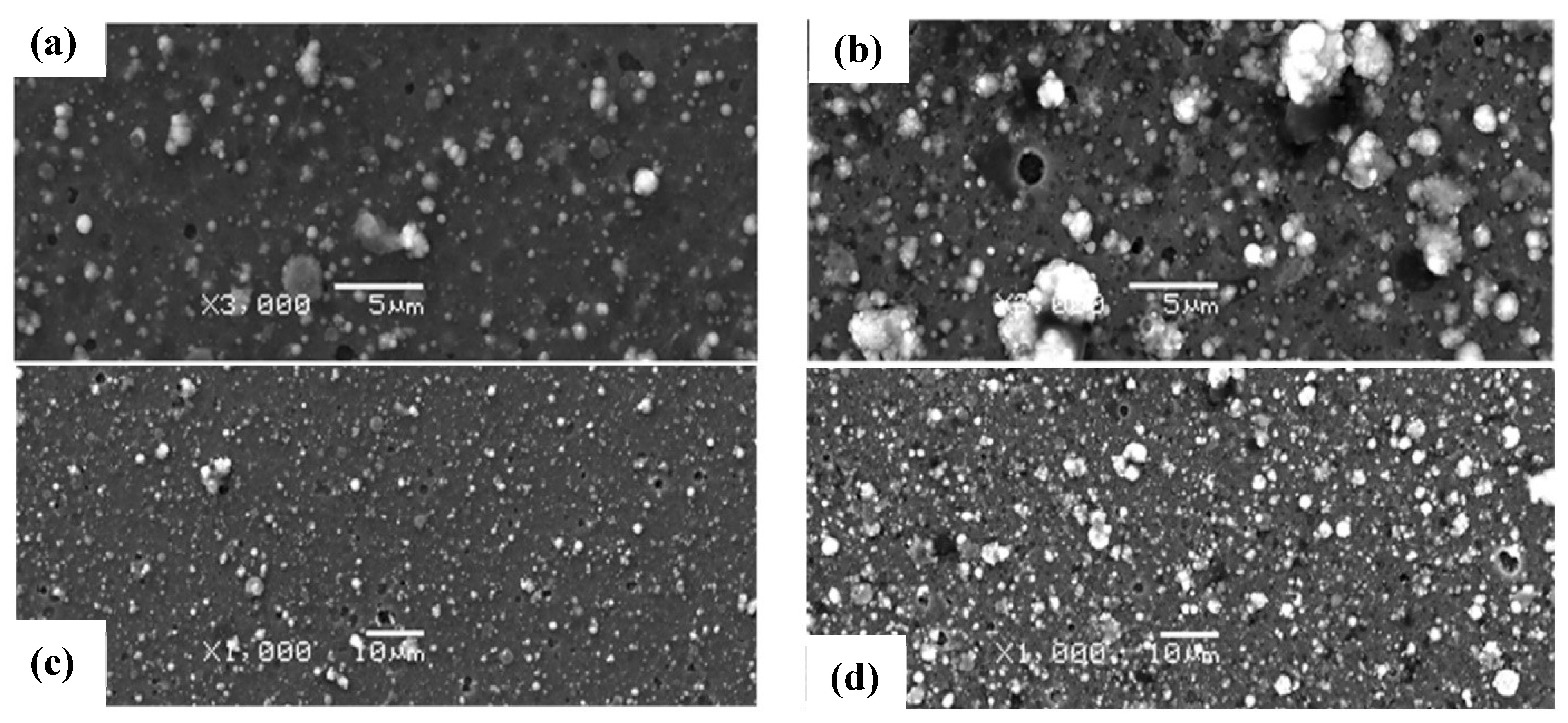 Coatings 14 00246 g012