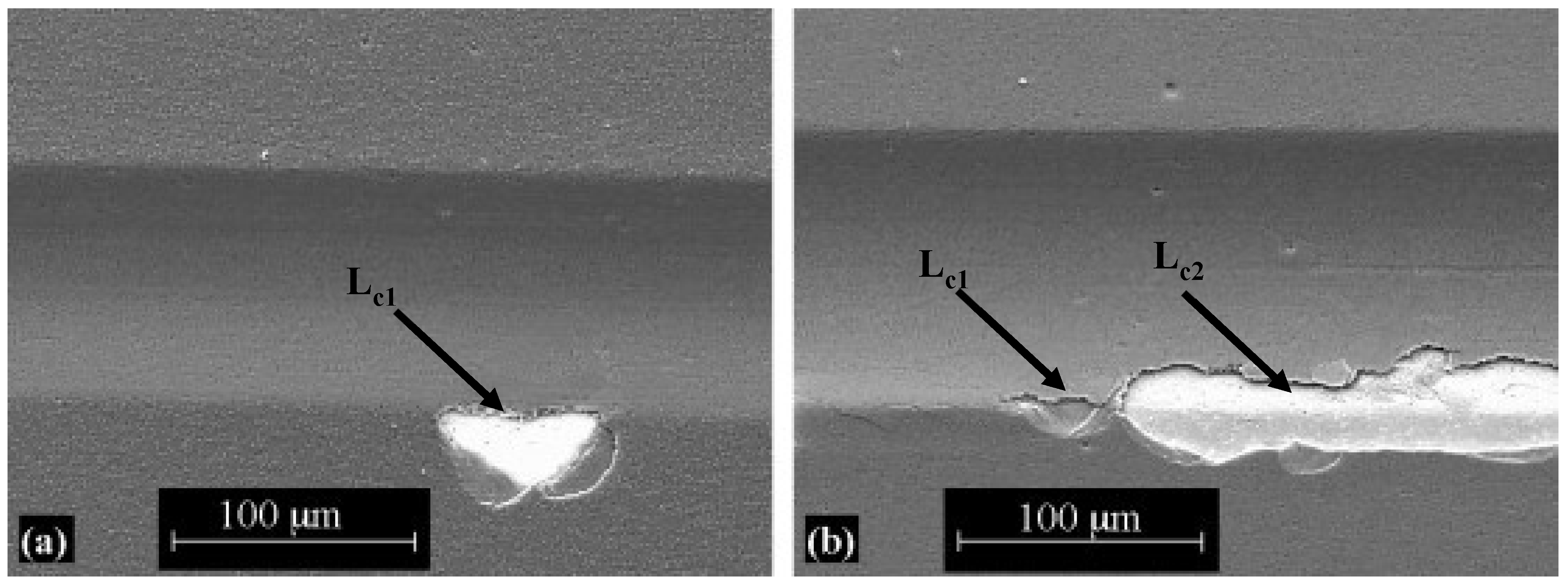Coatings 14 00246 g018