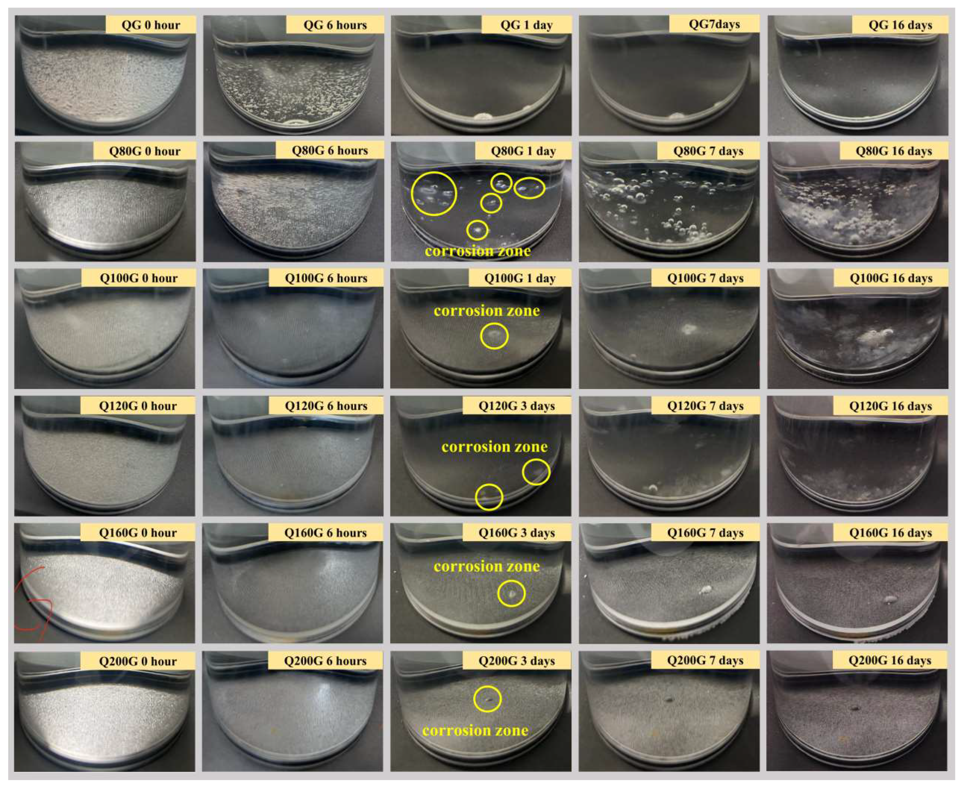 Coatings 14 00247 g012