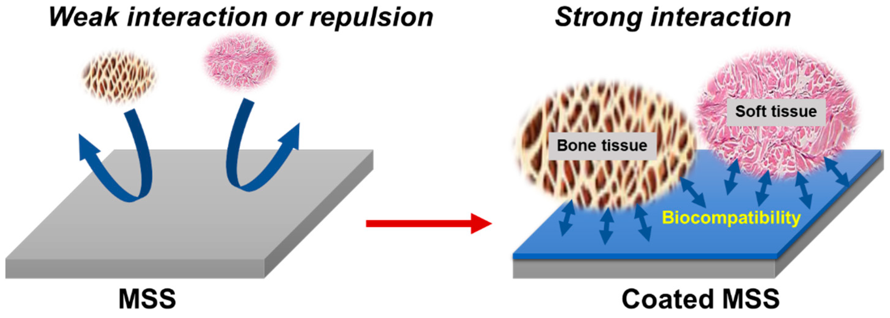 Coatings 14 00248 g003 Coatings 14 00248 g003