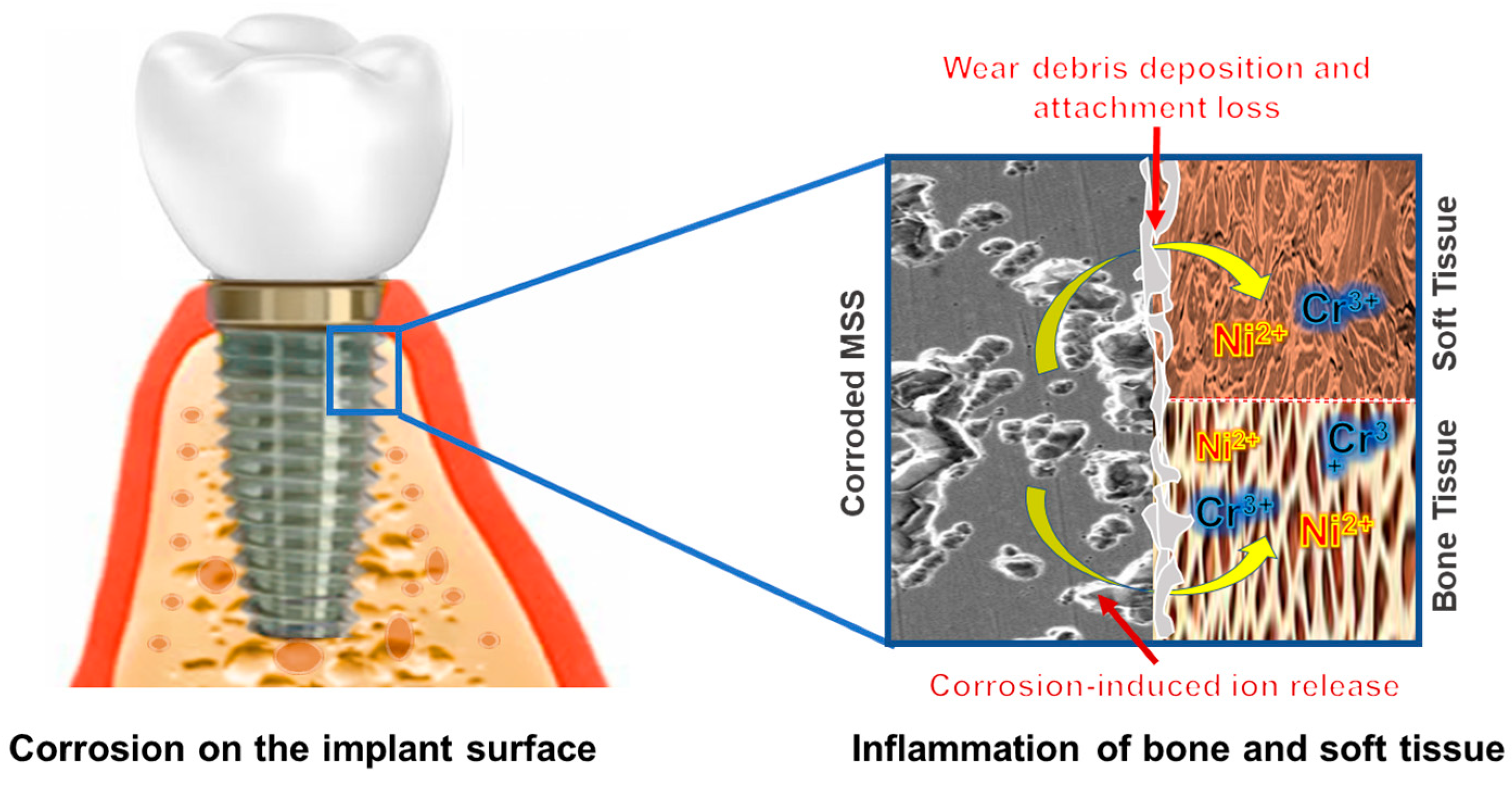 Coatings 14 00248 g004 Coatings 14 00248 g004