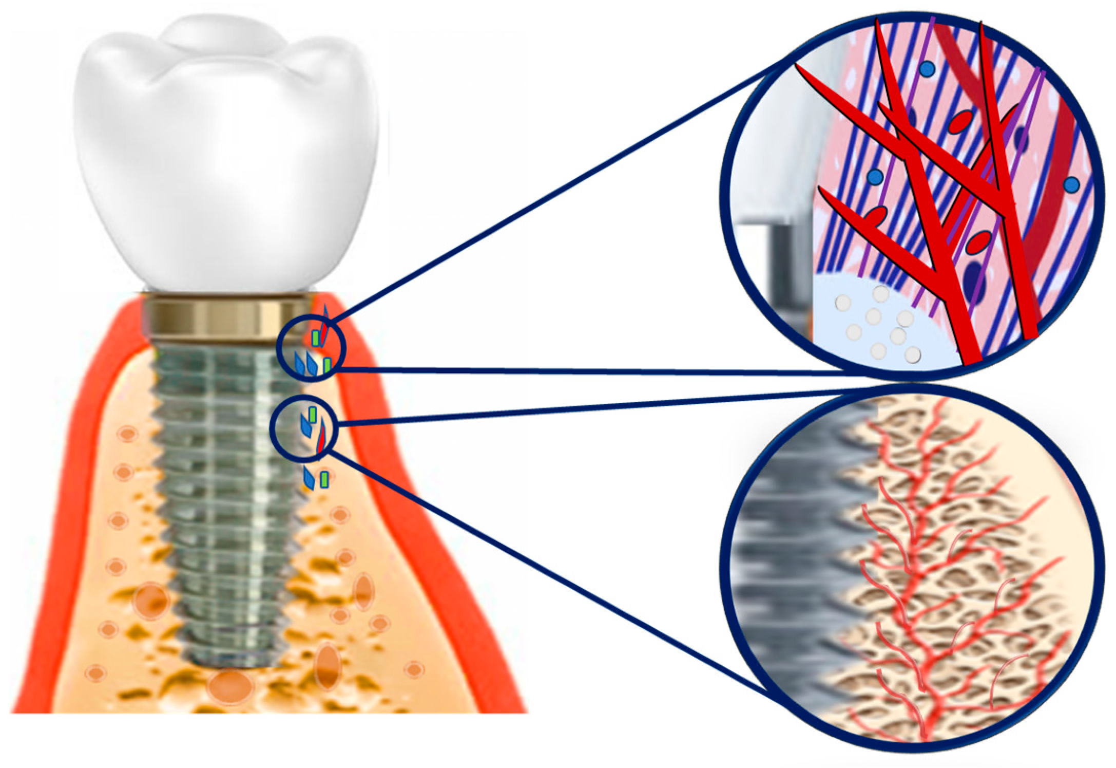 Coatings 14 00248 g005 Coatings 14 00248 g005