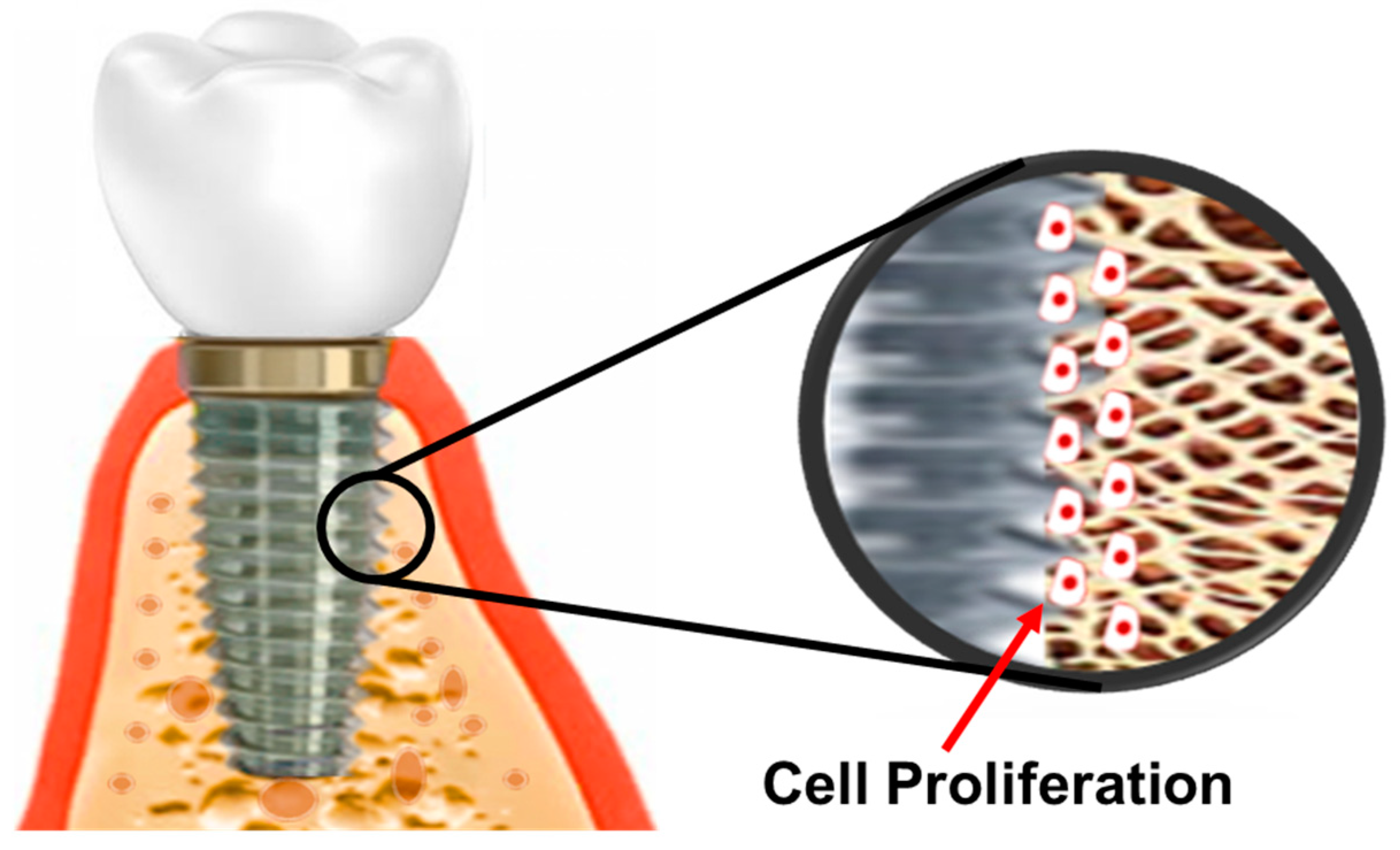 Coatings 14 00248 g007 Coatings 14 00248 g007