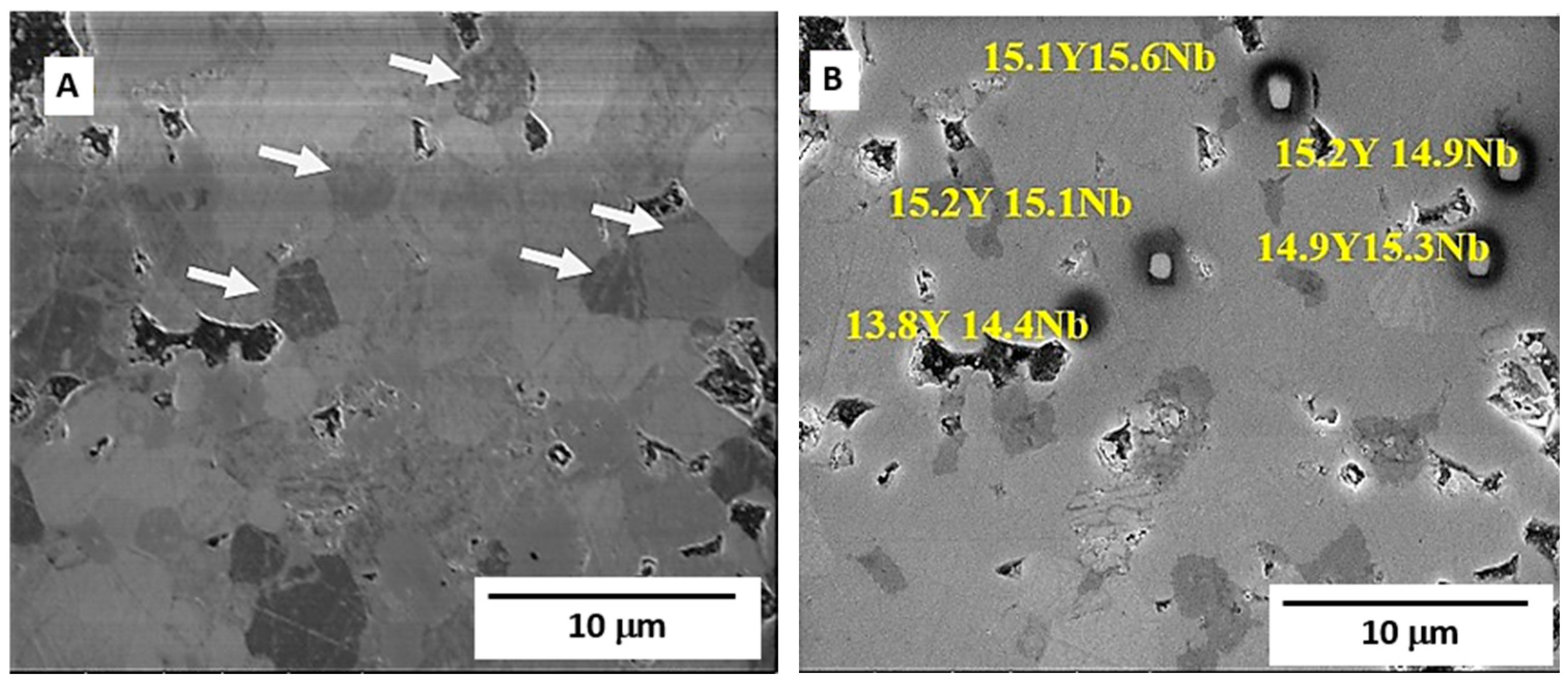 Coatings 14 00249 g003
