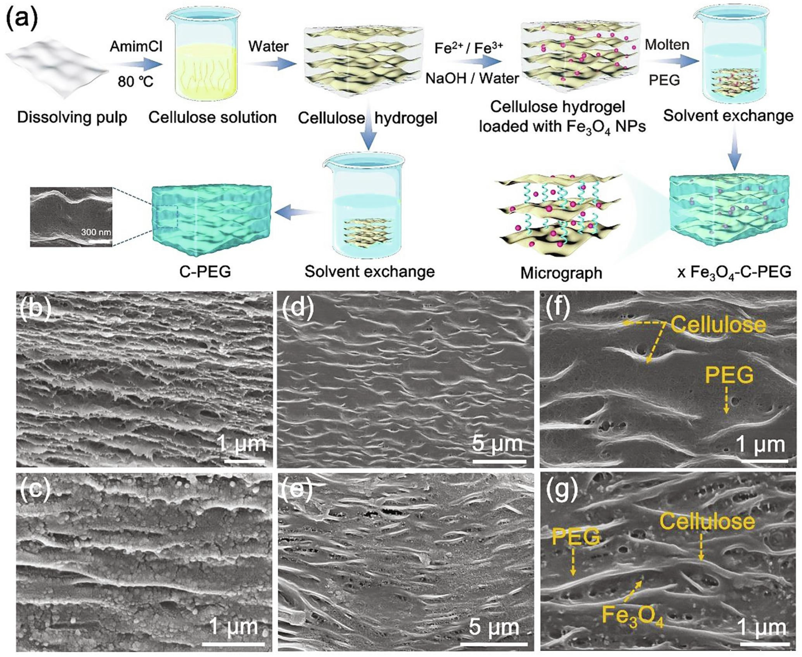 Coatings 14 00250 g005