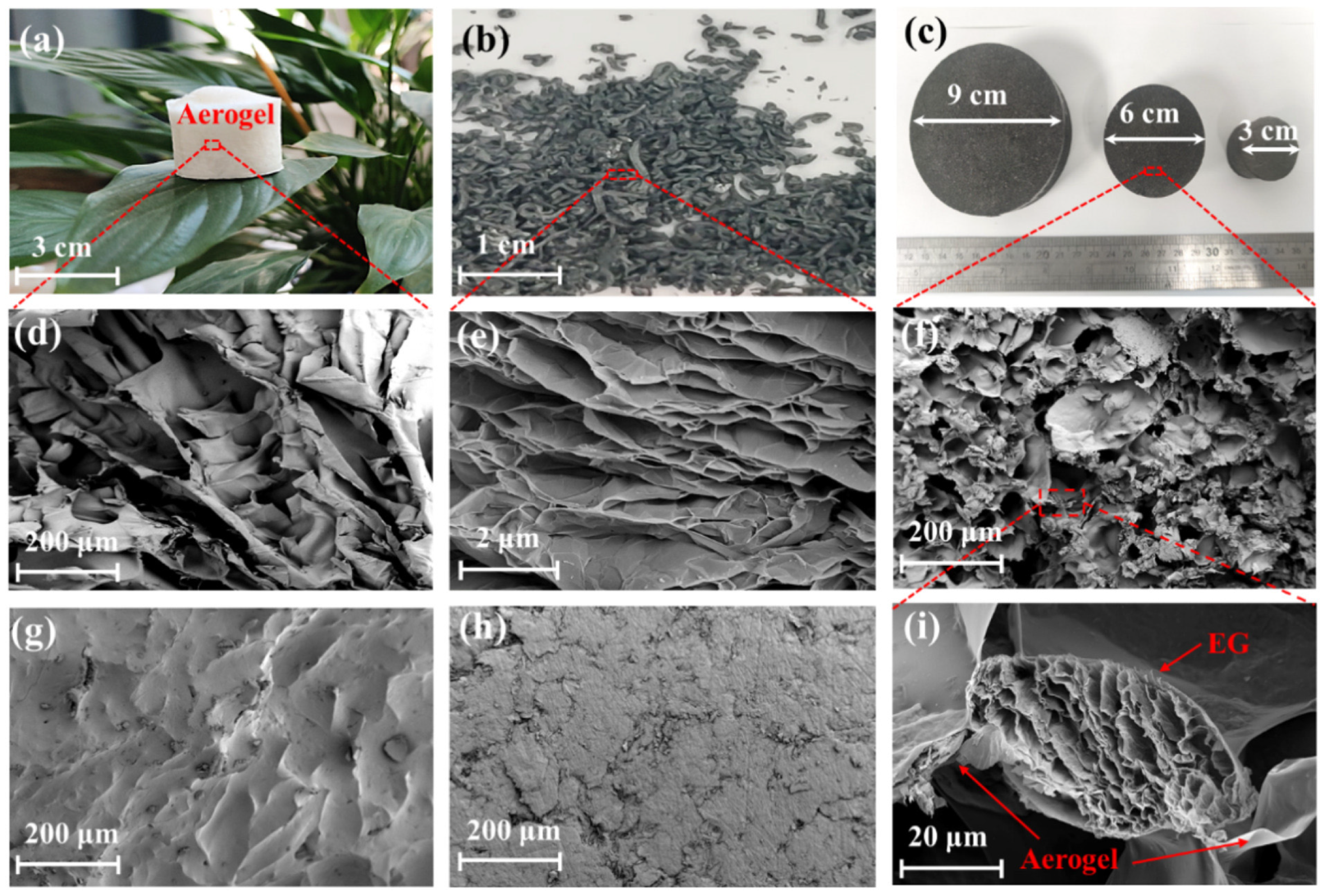 Coatings 14 00250 g006