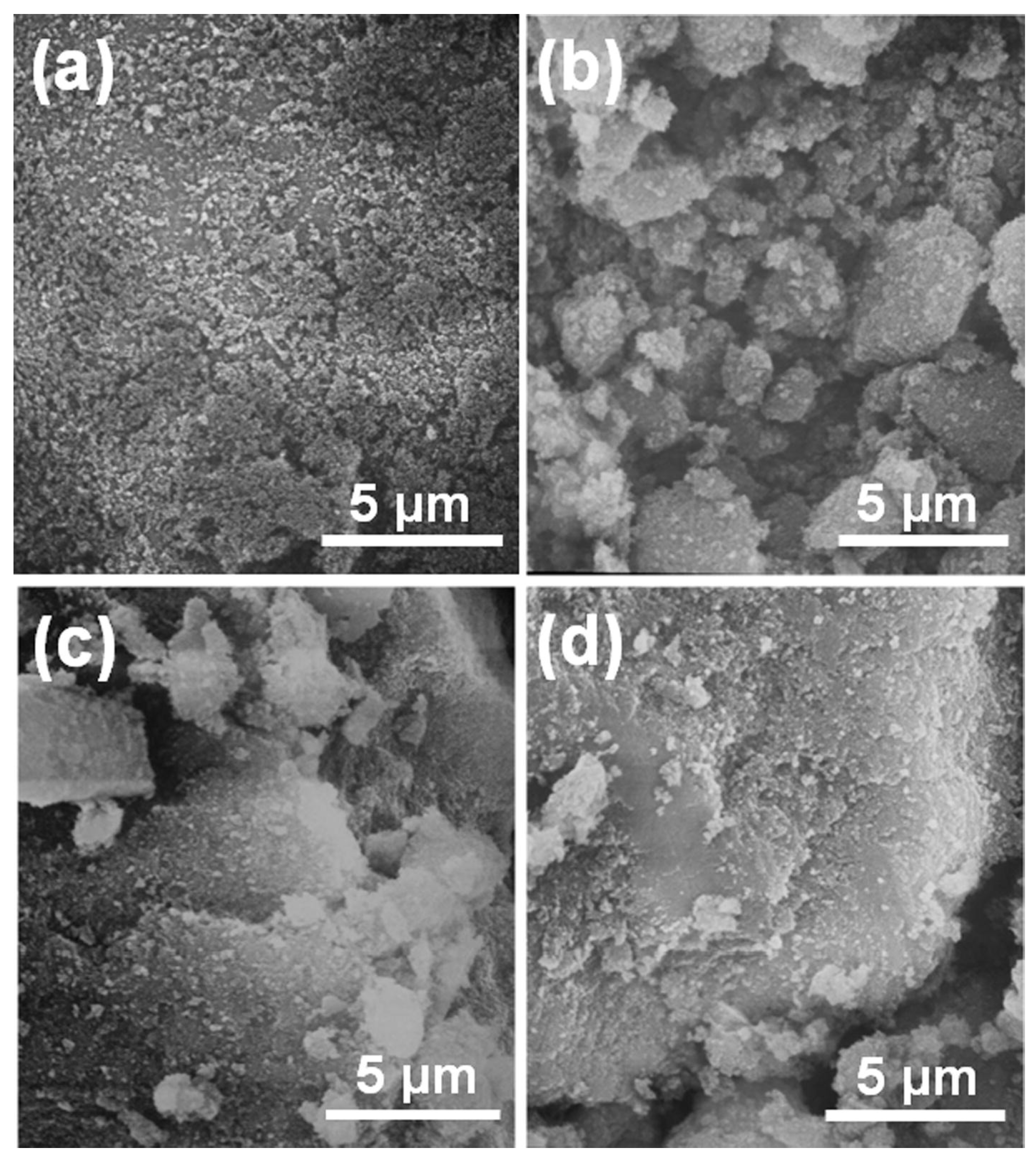 Coatings 14 00250 g007