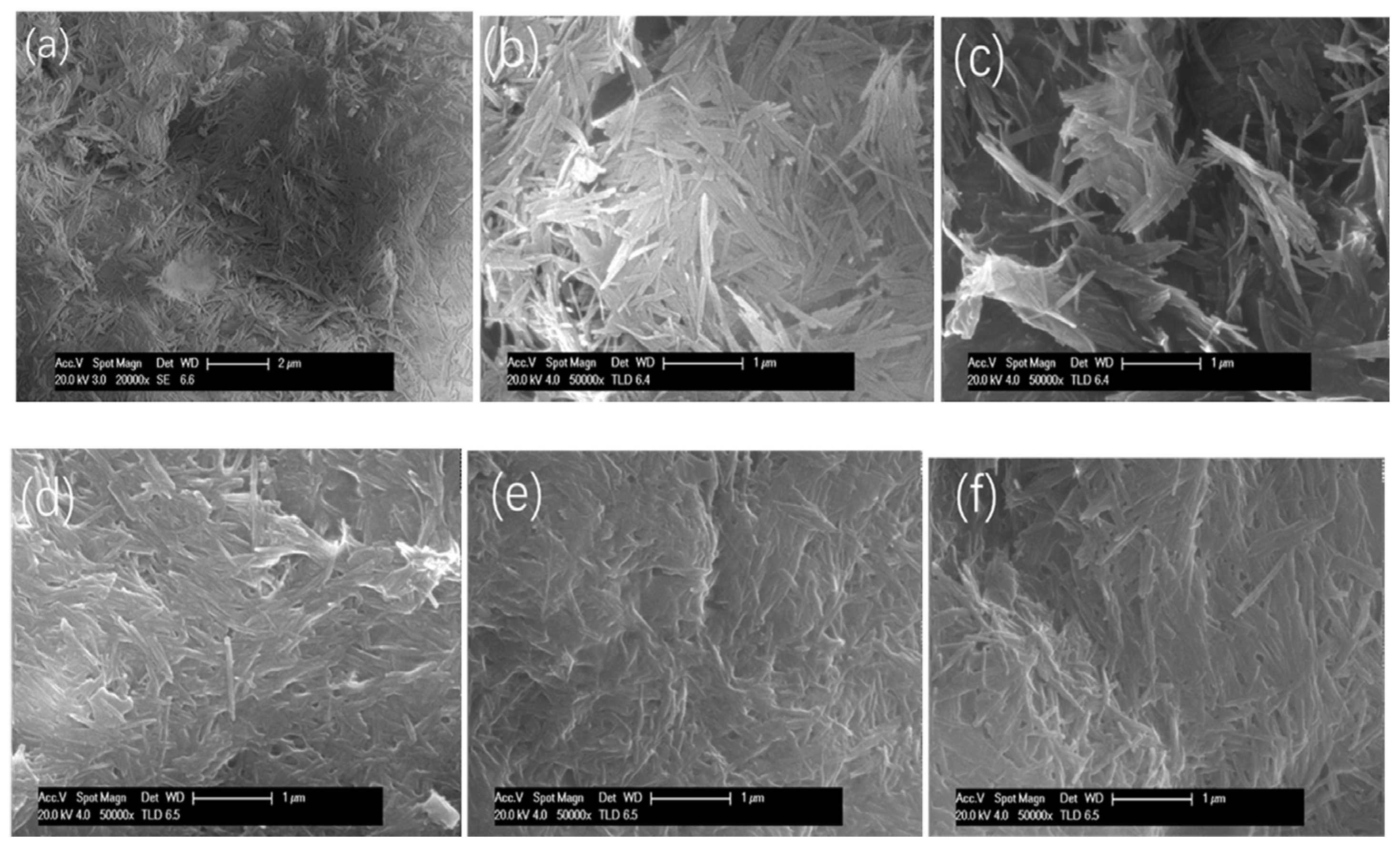 Coatings 14 00250 g008