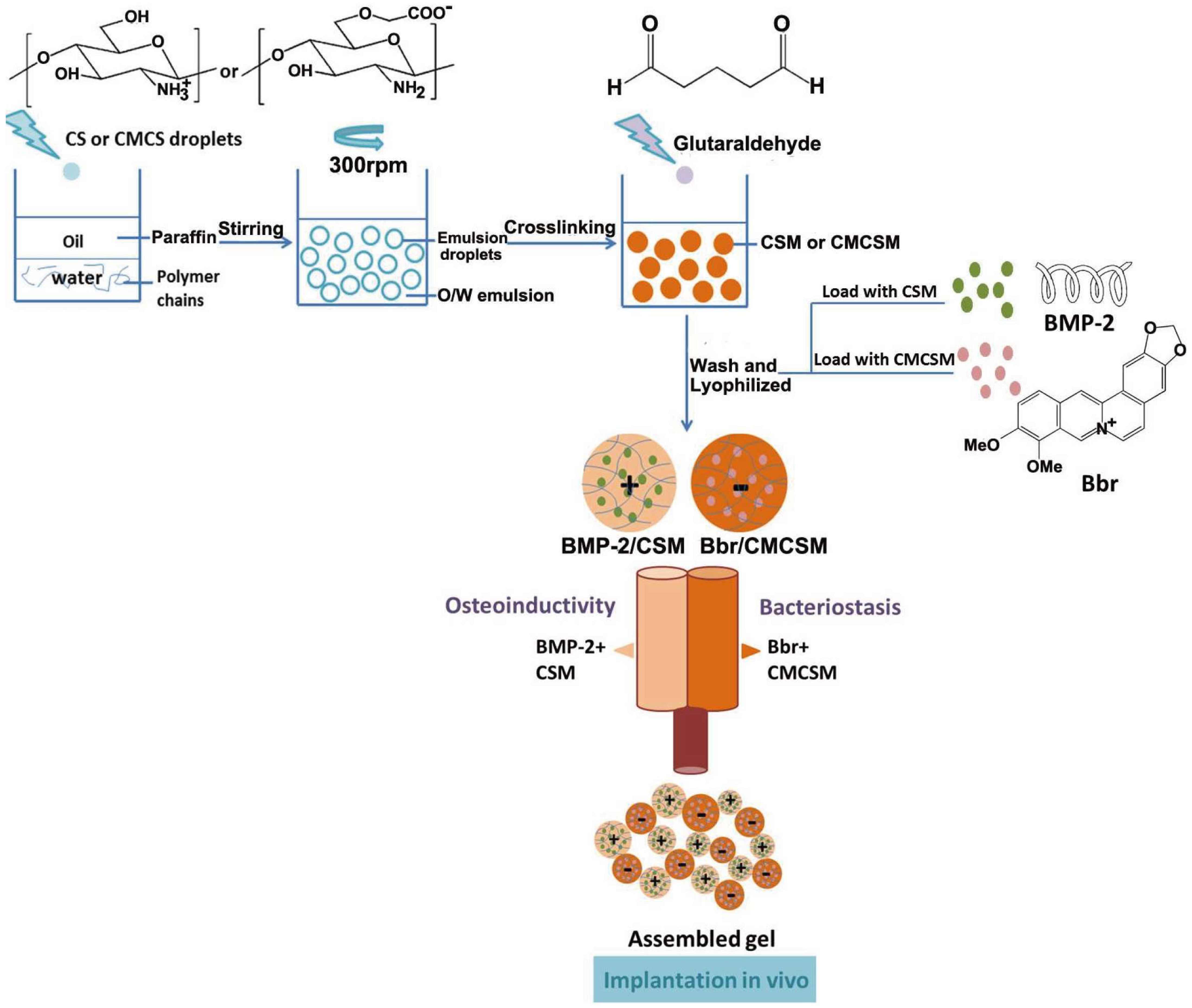 Coatings 14 00254 g001 Coatings 14 00254 g001